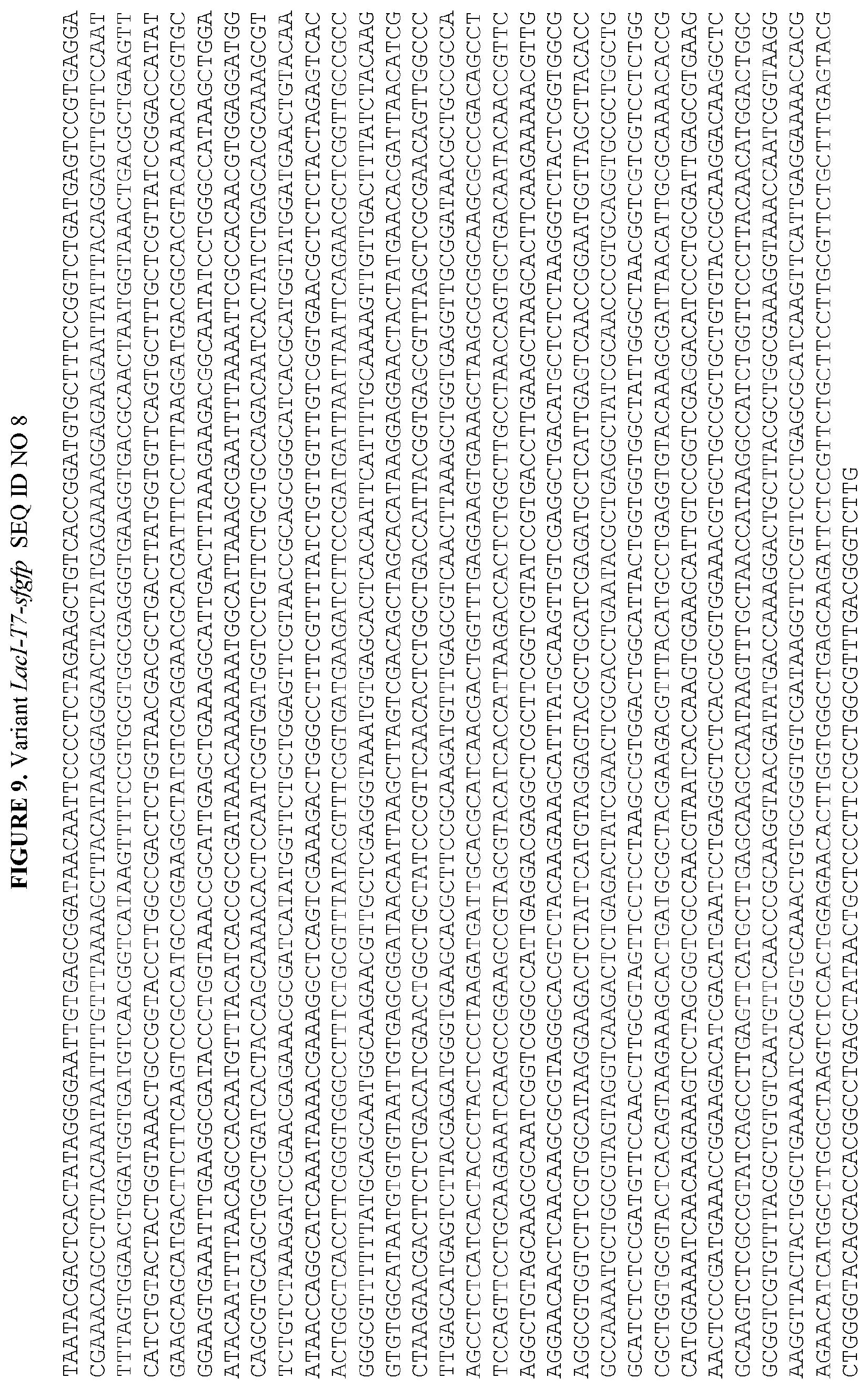 Patent US12460215 Figure 15 – Bacillus expression system