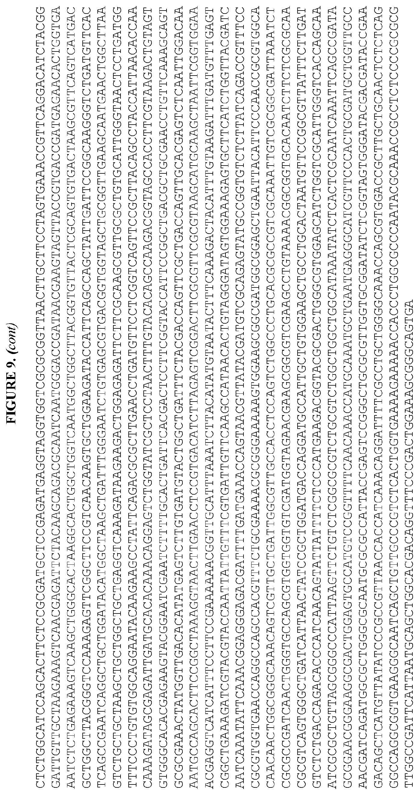 Patent US12460215 Figure 16 – Bacillus expression system