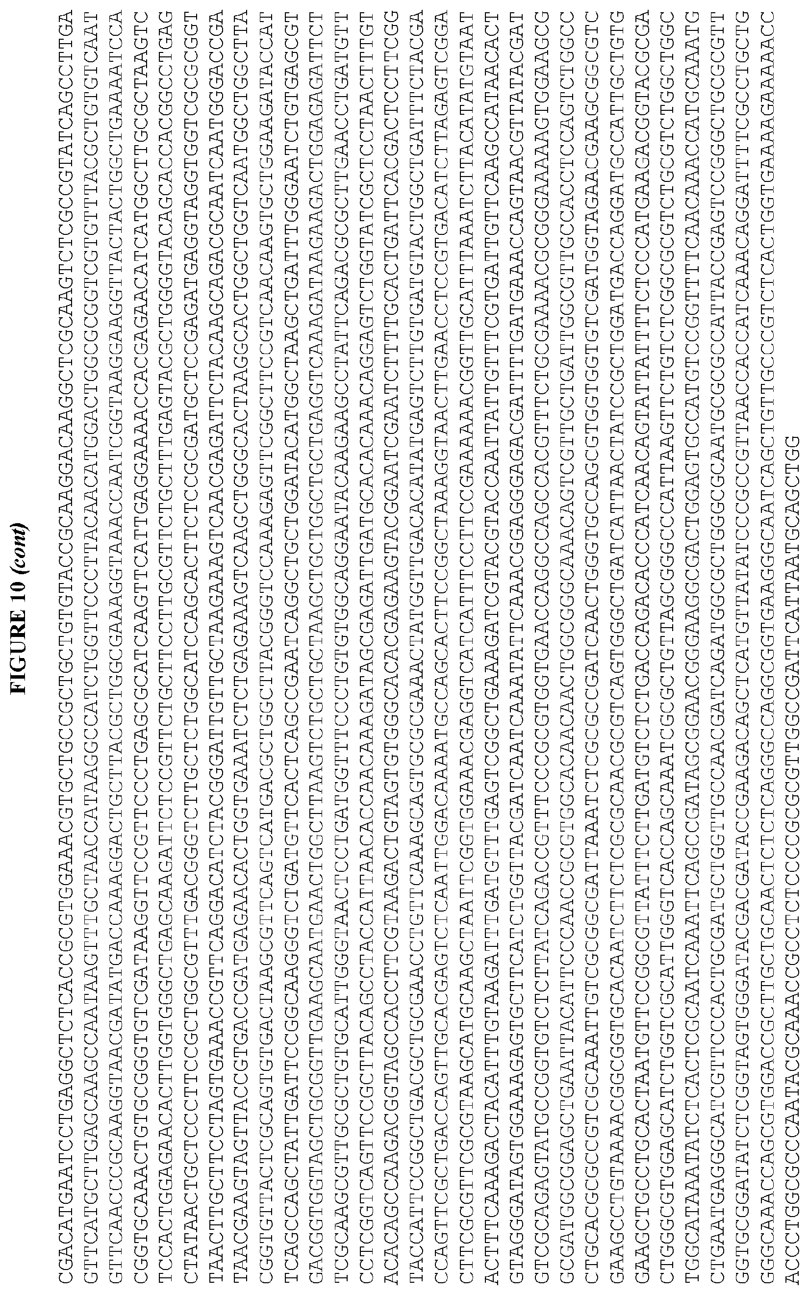 Patent US12460215 Figure 19 – Bacillus expression system