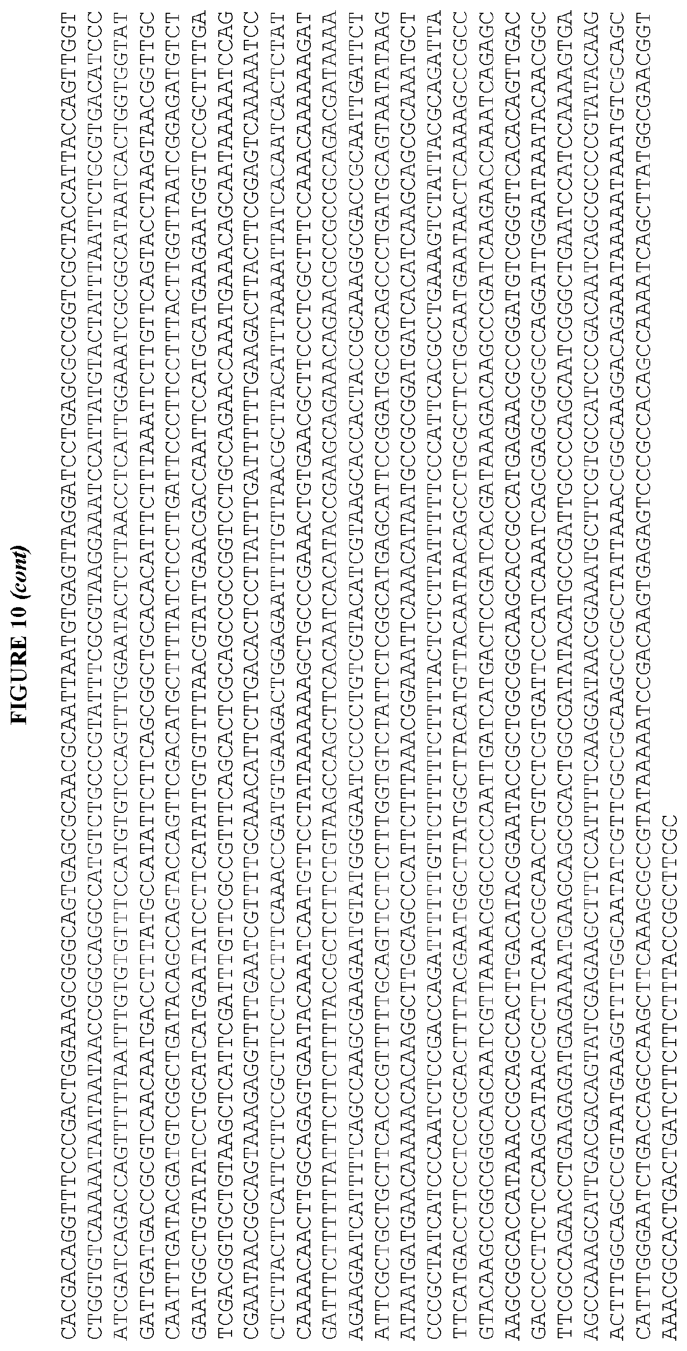 Patent US12460215 Figure 20 – Bacillus expression system