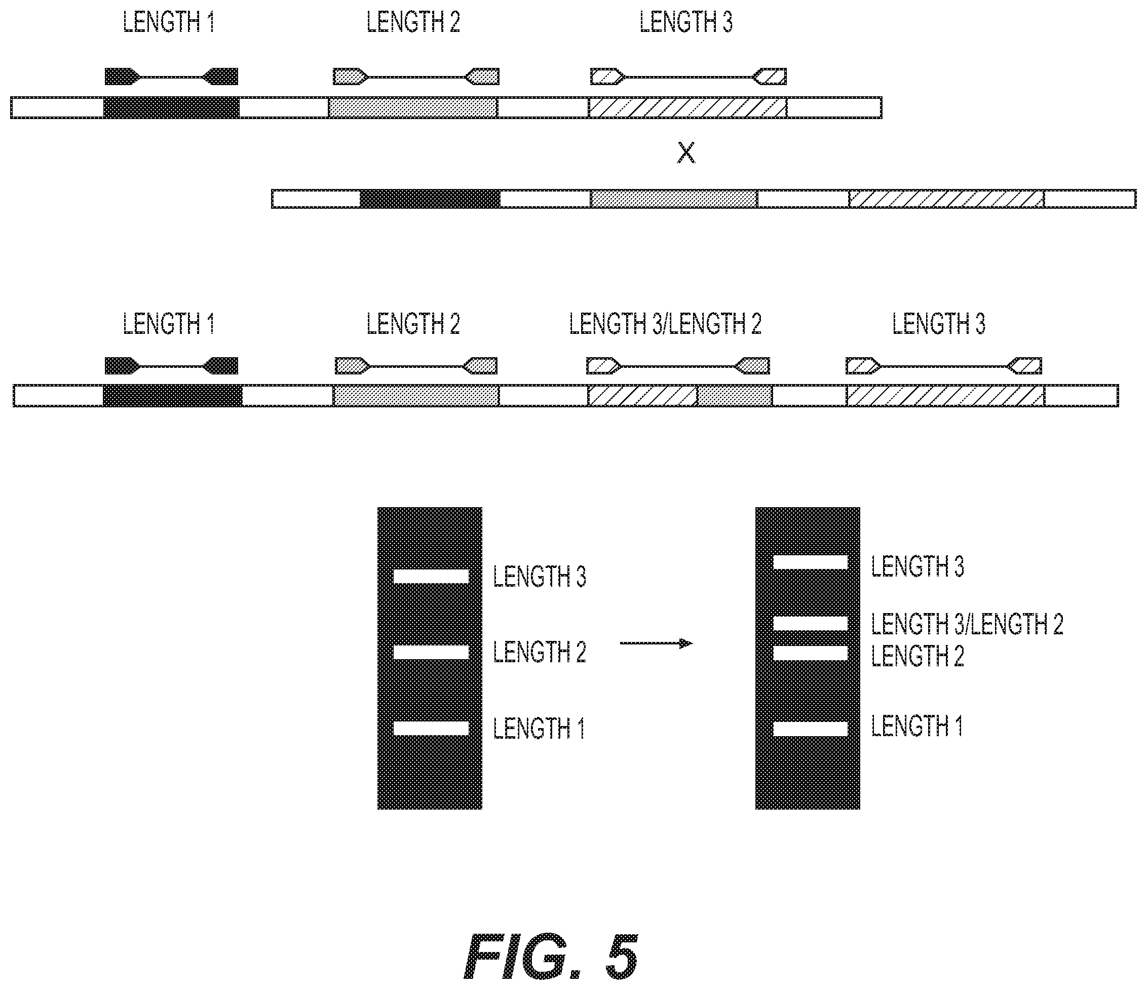 Patent US12460217 Figure 5 – Enhanced recombination of genomic loci