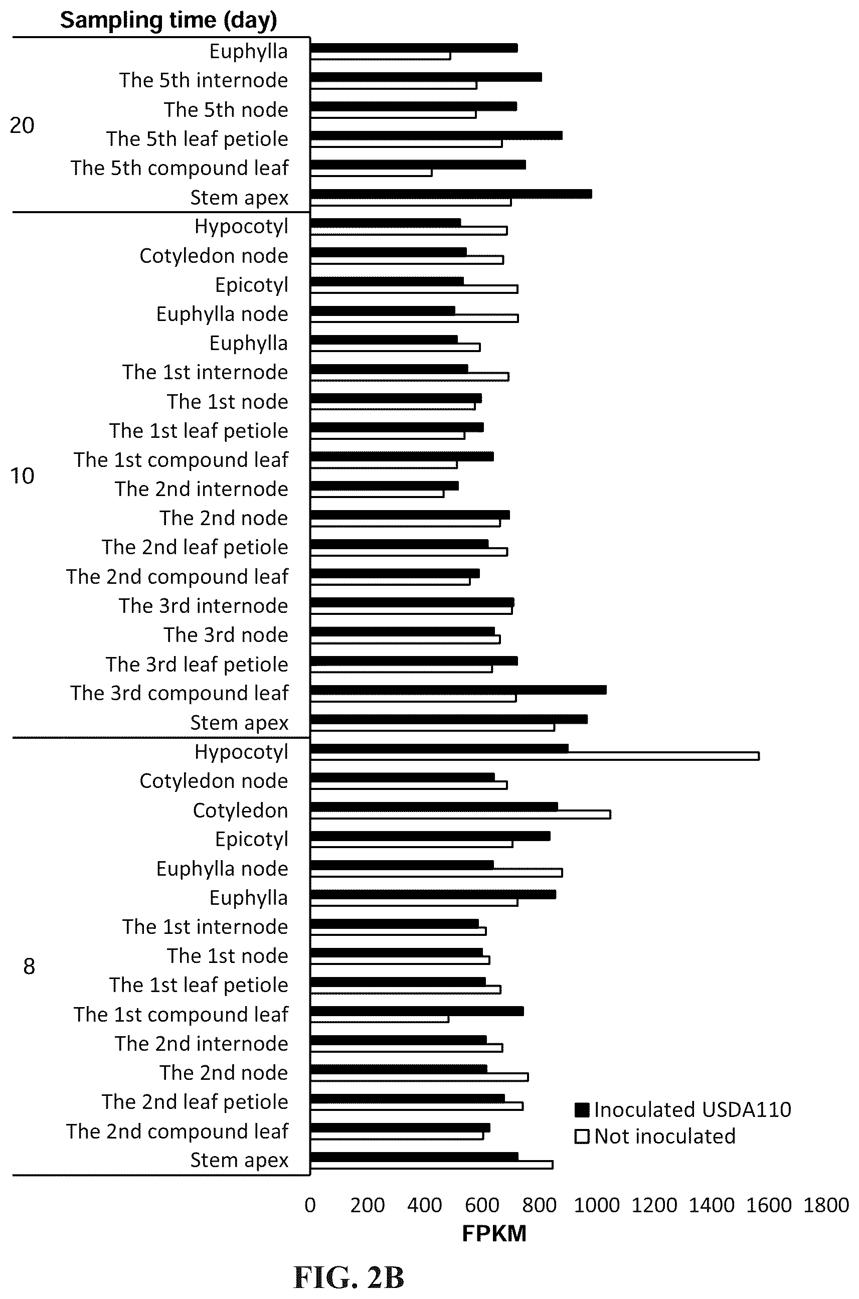 Patent US12460220 Figure 5 – Method for promoting expression of foreign gene in soybean, arabidopsis or tobacco using gene promoter pEIF1 or pEIF1-I