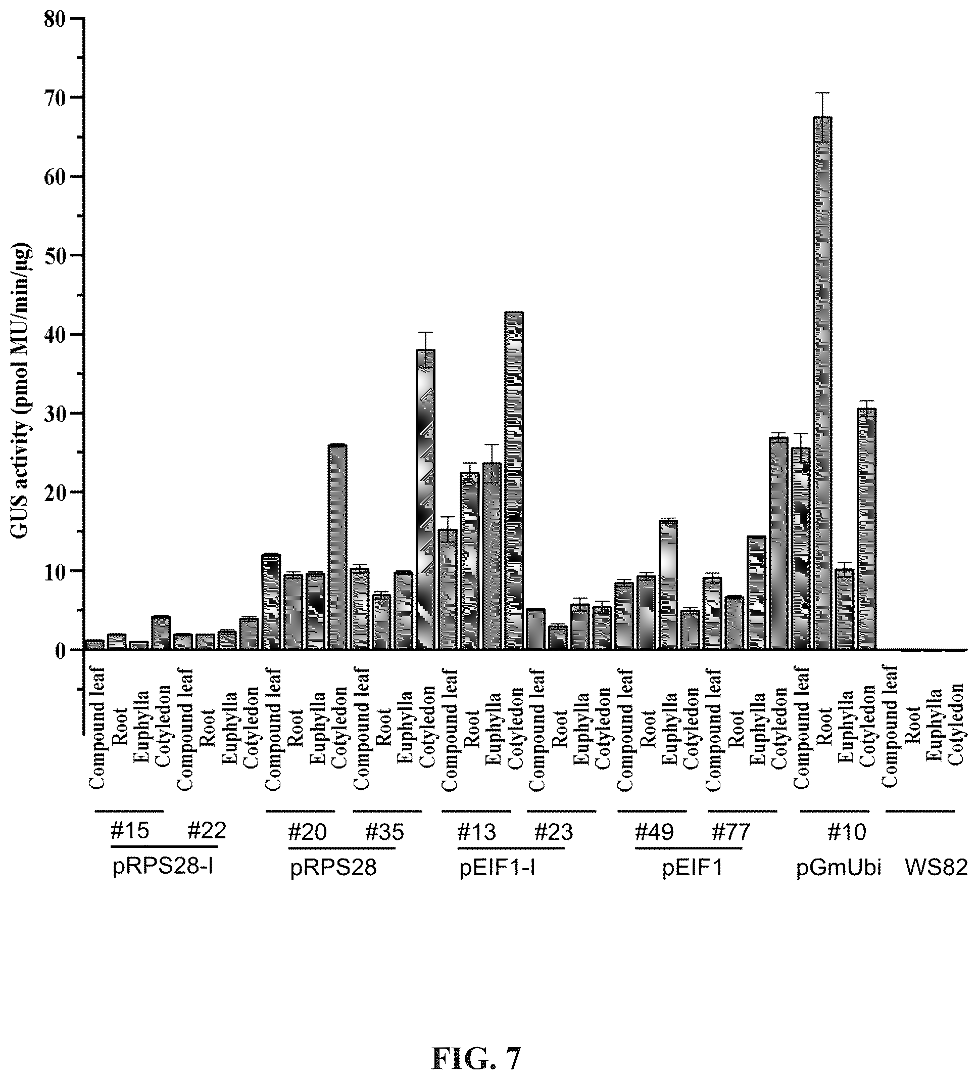Patent US12460220 Figure 17 – Method for promoting expression of foreign gene in soybean, arabidopsis or tobacco using gene promoter pEIF1 or pEIF1-I