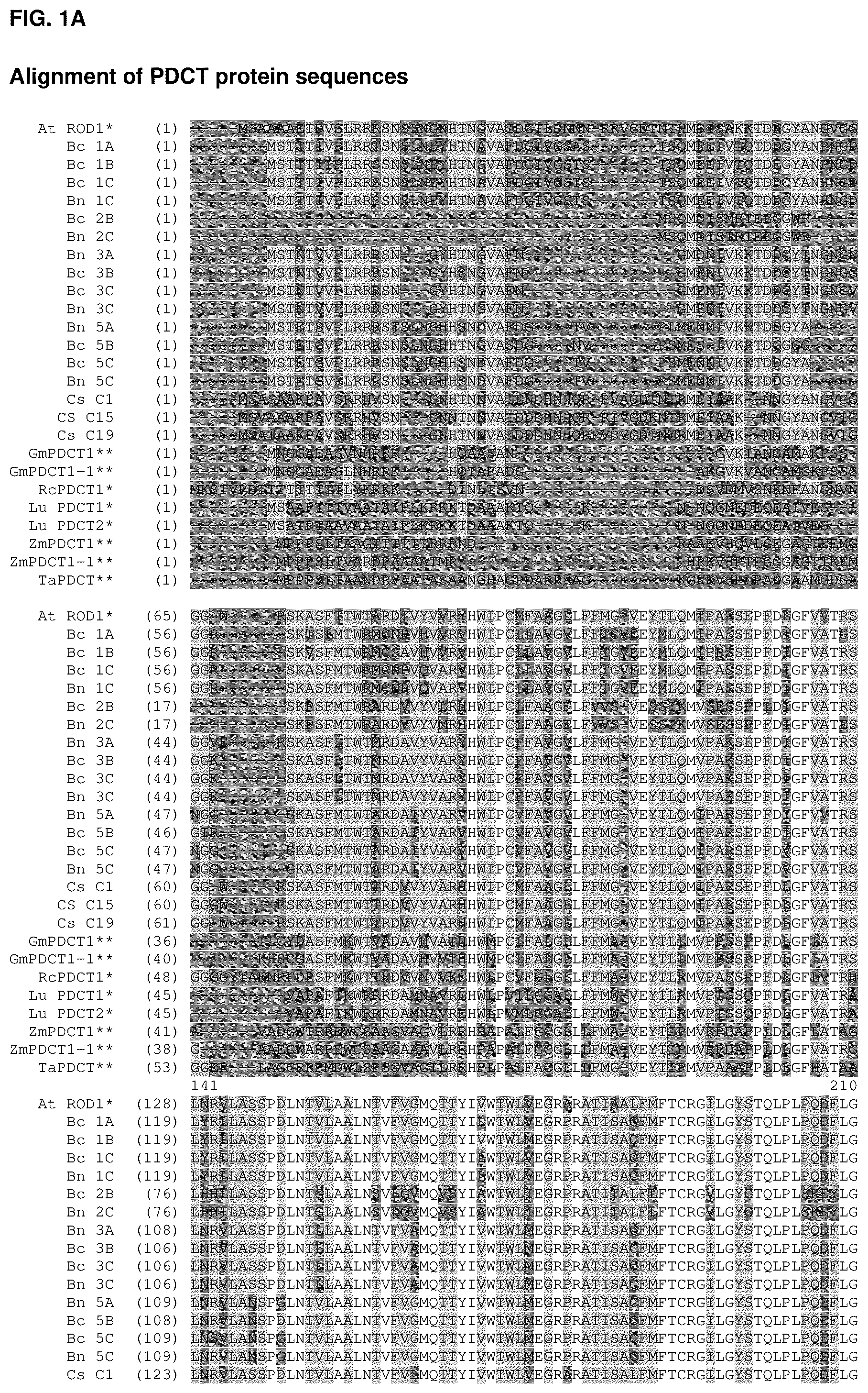 Patent US12460221 Figure 1 – Method for the production of high levels of PUFA in plants