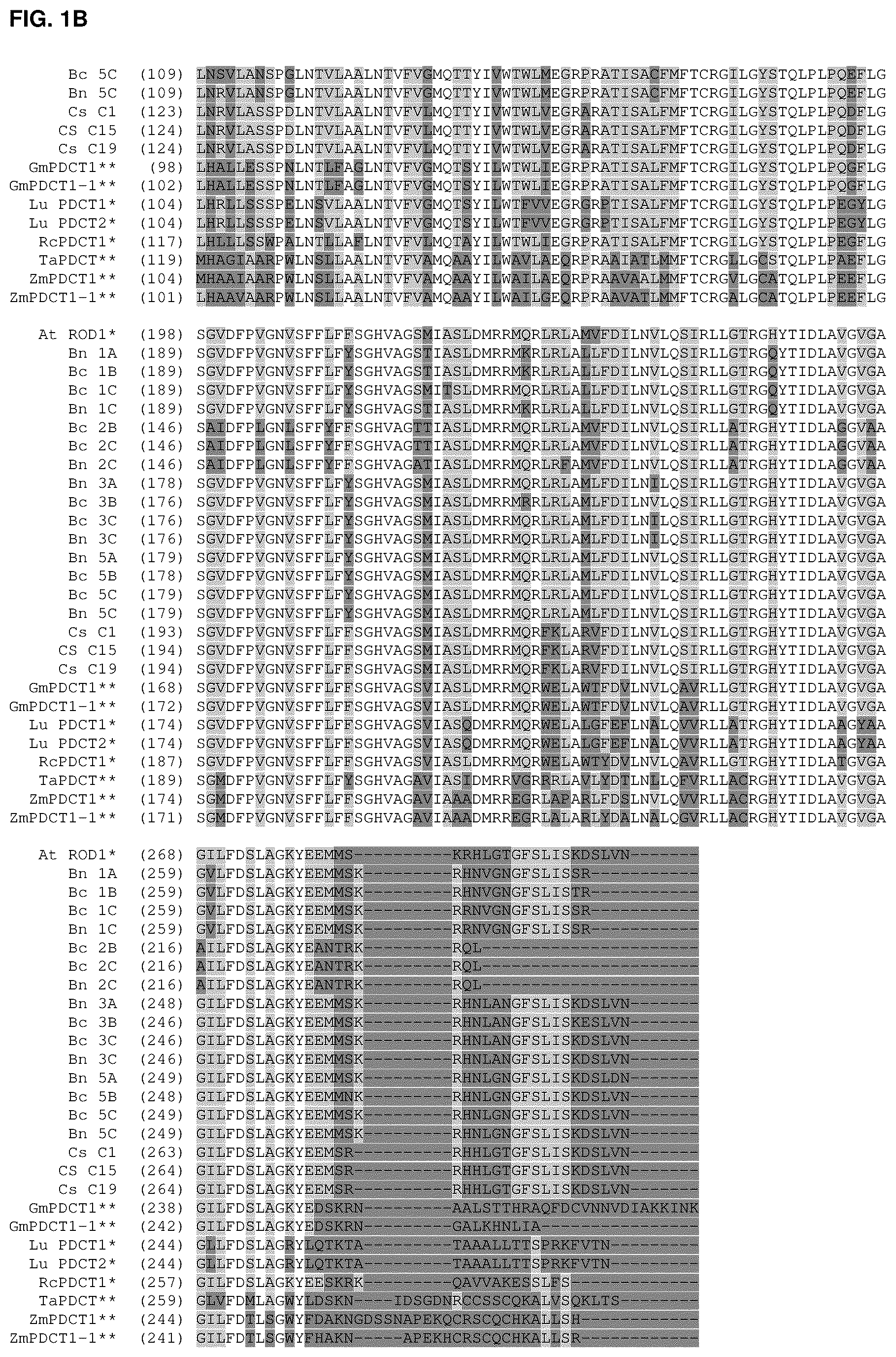 Patent US12460221 Figure 2 – Method for the production of high levels of PUFA in plants