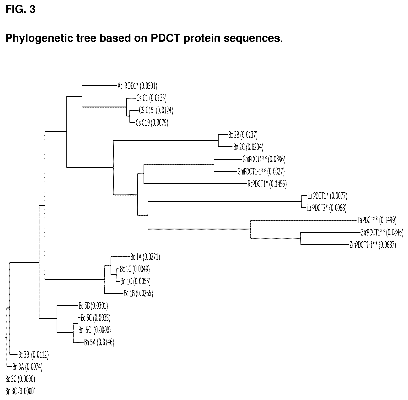 Patent US12460221 Figure 4 – Method for the production of high levels of PUFA in plants