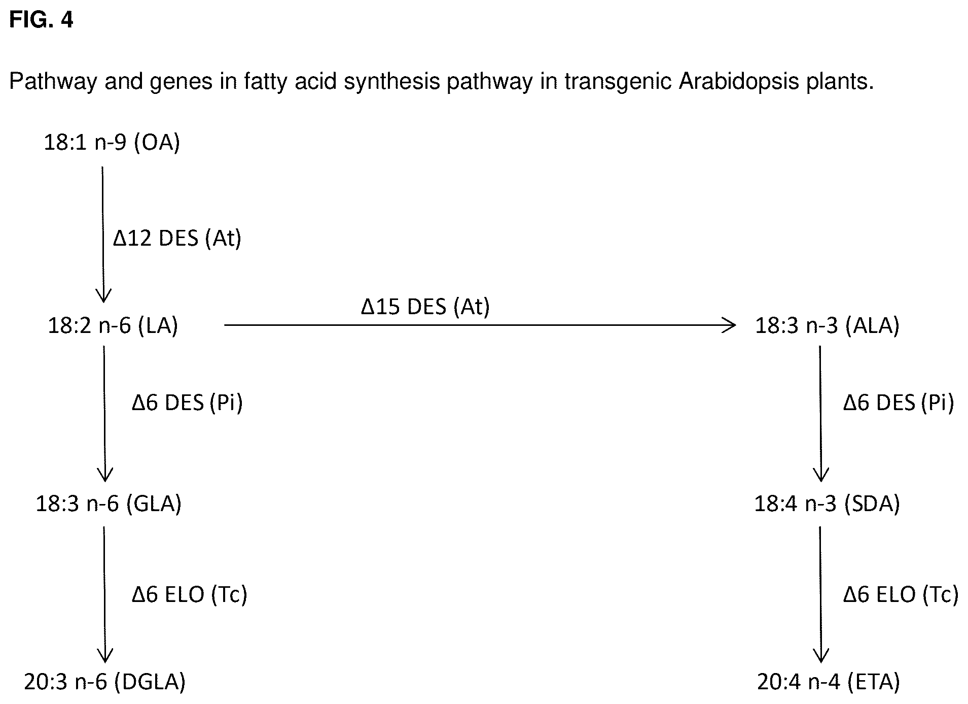 Patent US12460221 Figure 5 – Method for the production of high levels of PUFA in plants