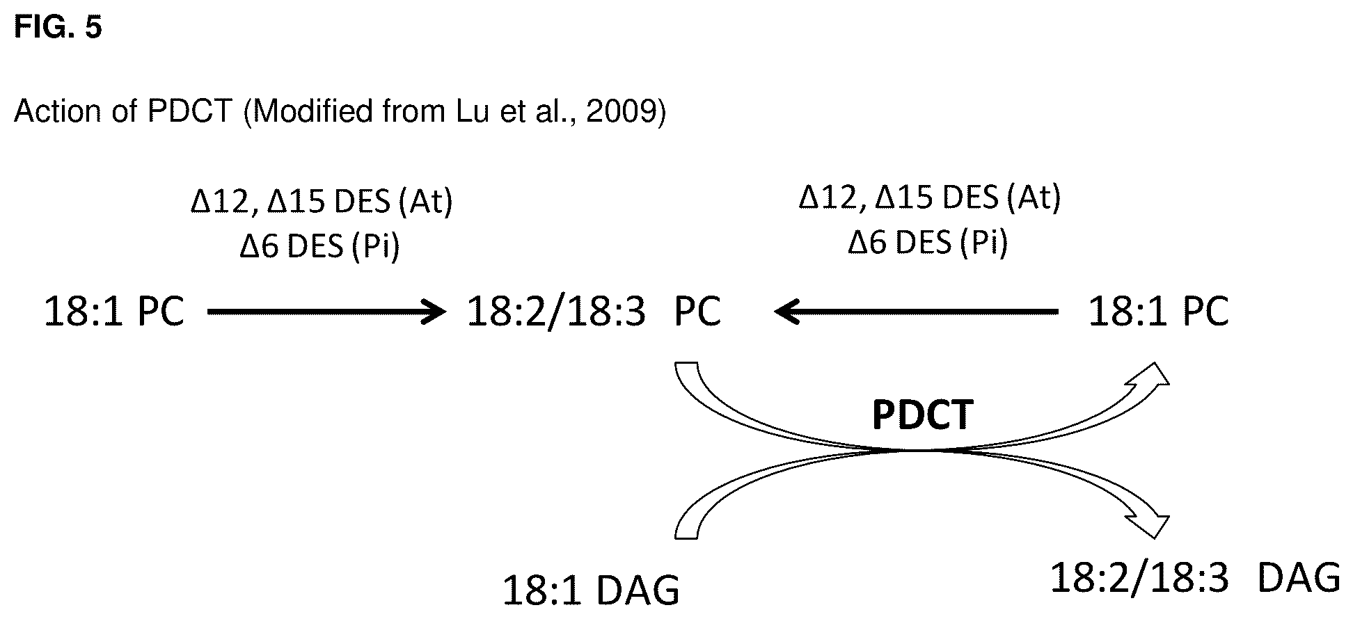 Patent US12460221 Figure 6 – Method for the production of high levels of PUFA in plants