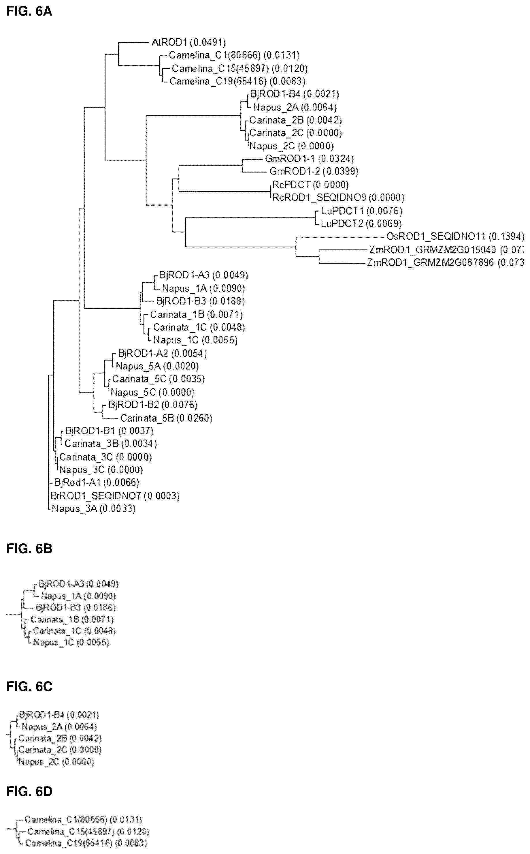 Patent US12460221 Figure 7 – Method for the production of high levels of PUFA in plants