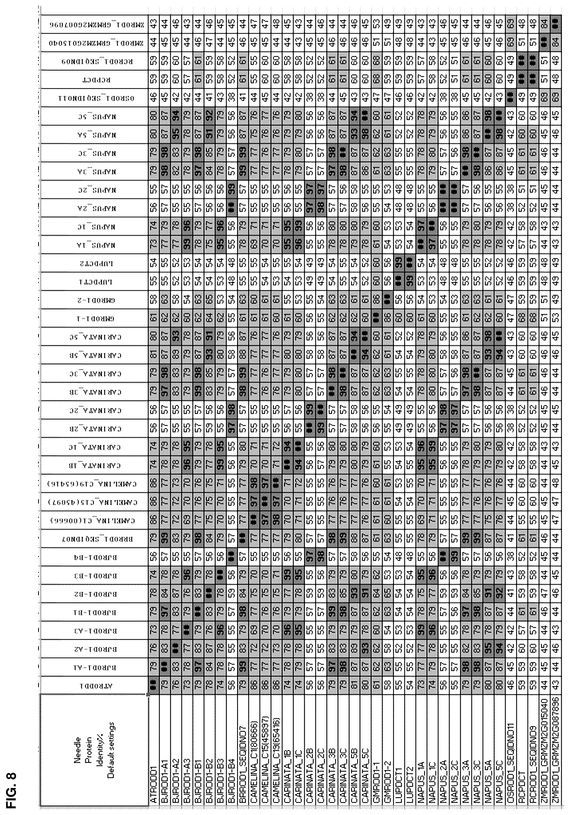 Patent US12460221 Figure 10 – Method for the production of high levels of PUFA in plants