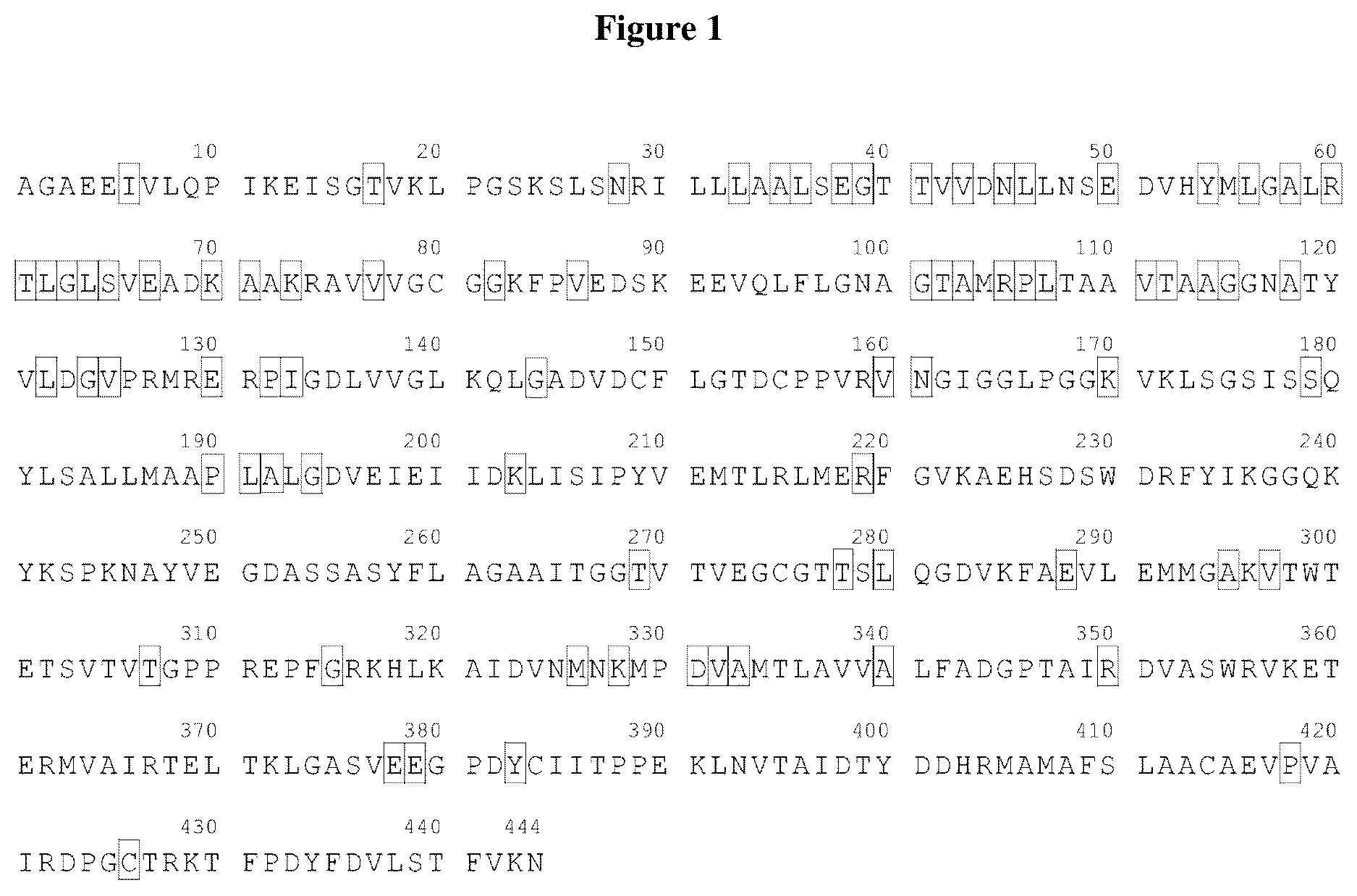 Patent US12460222 — Methods and compositions for herbicide tolerance in plants — Figure 1