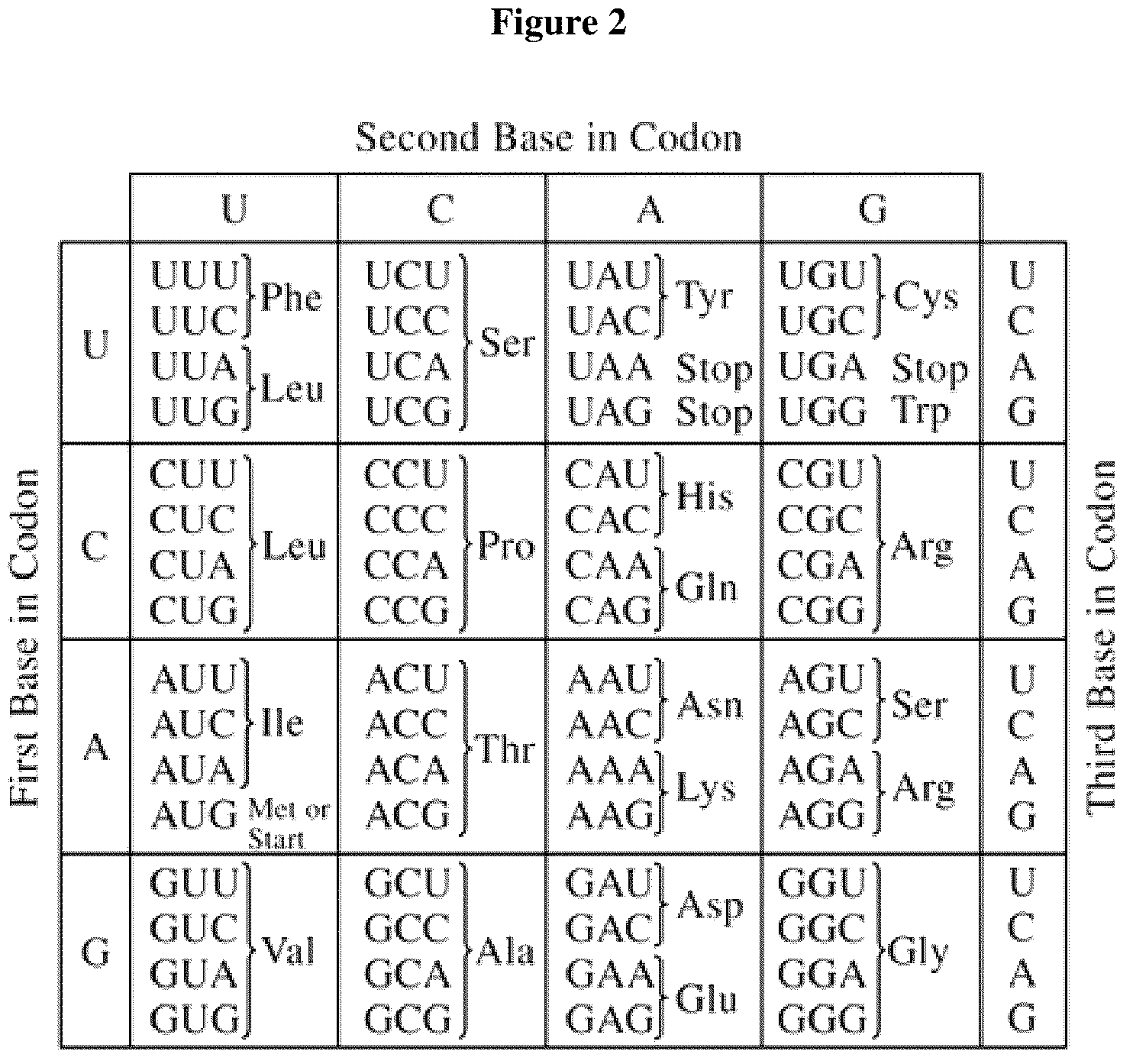 Patent US12460222 Figure 2 – Methods and compositions for herbicide tolerance in plants