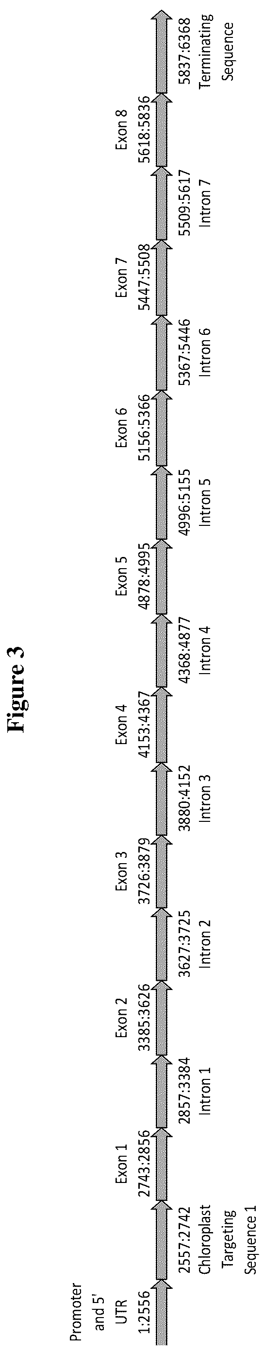 Patent US12460222 Figure 3 – Methods and compositions for herbicide tolerance in plants