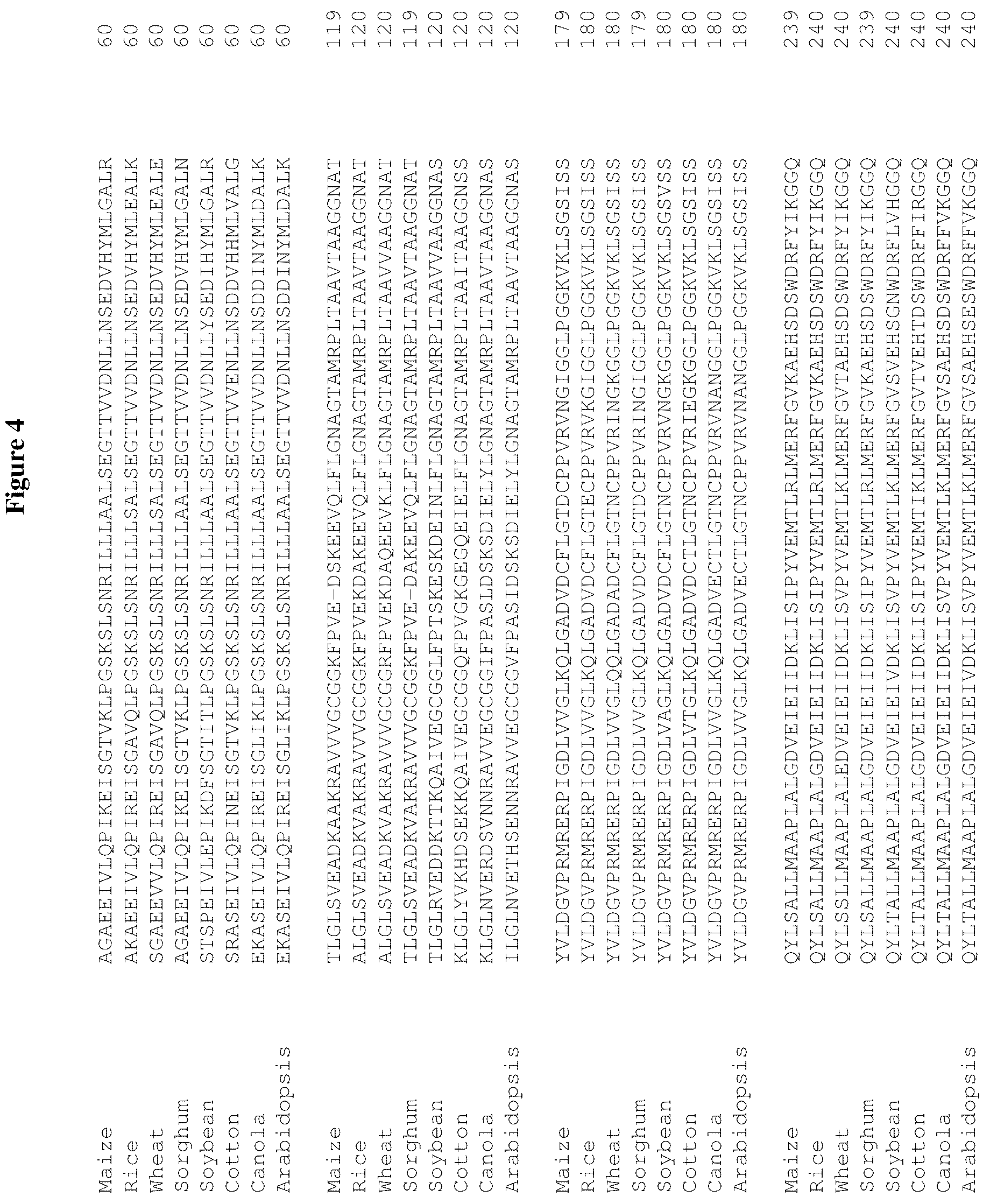 Patent US12460222 Figure 4 – Methods and compositions for herbicide tolerance in plants