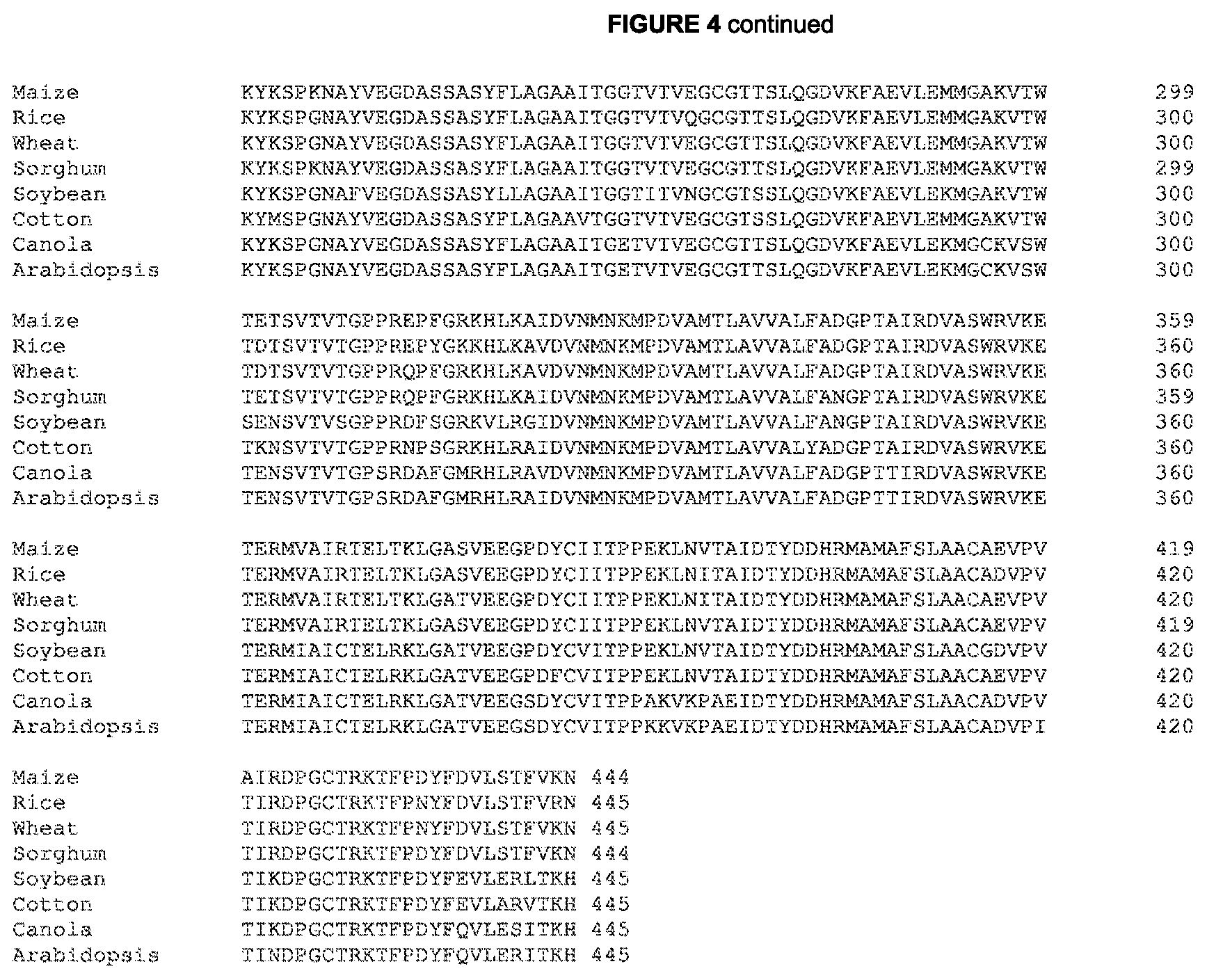 Patent US12460222 Figure 5 – Methods and compositions for herbicide tolerance in plants
