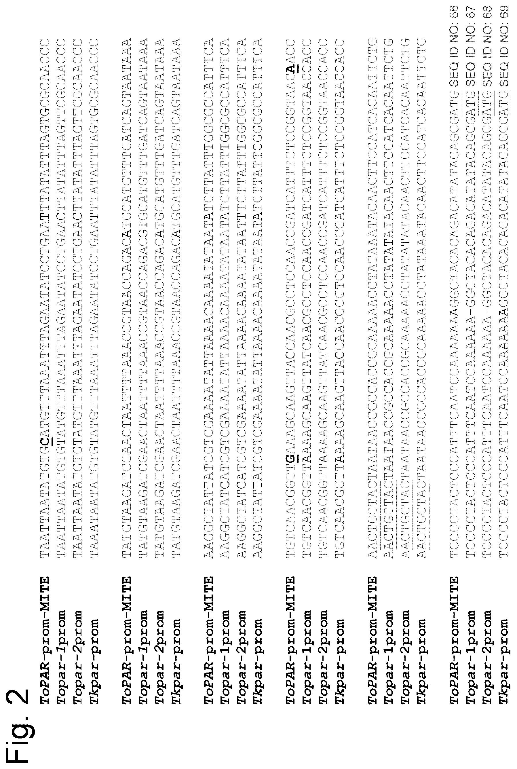 Patent US12460224 Figure 3 – Modified promoter of a parthenogenesis gene