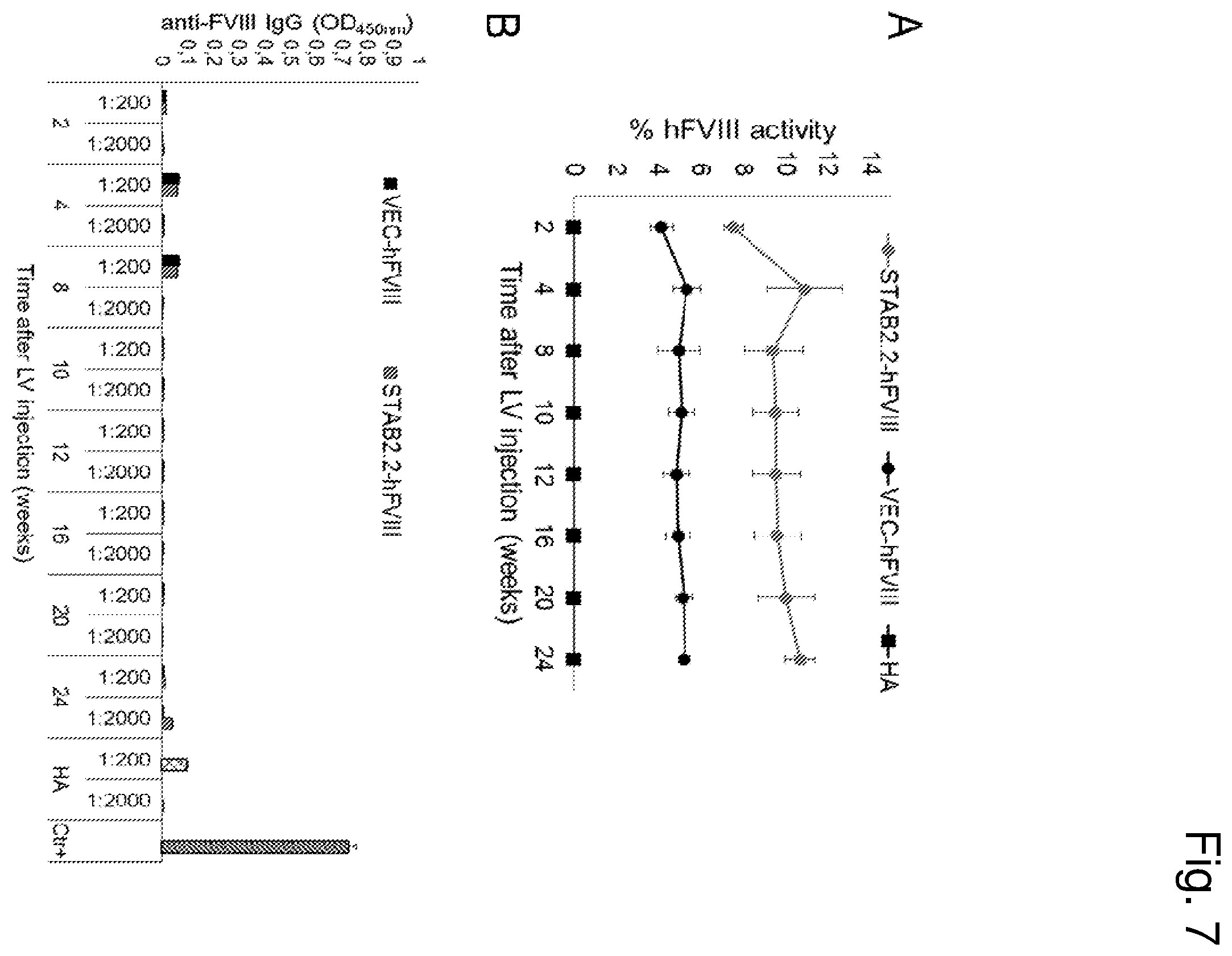 Patent US12460225 Figure 7 – Vector with an endothelial-specific promoter for treating factor V, VII, VIII, or IX deficiency