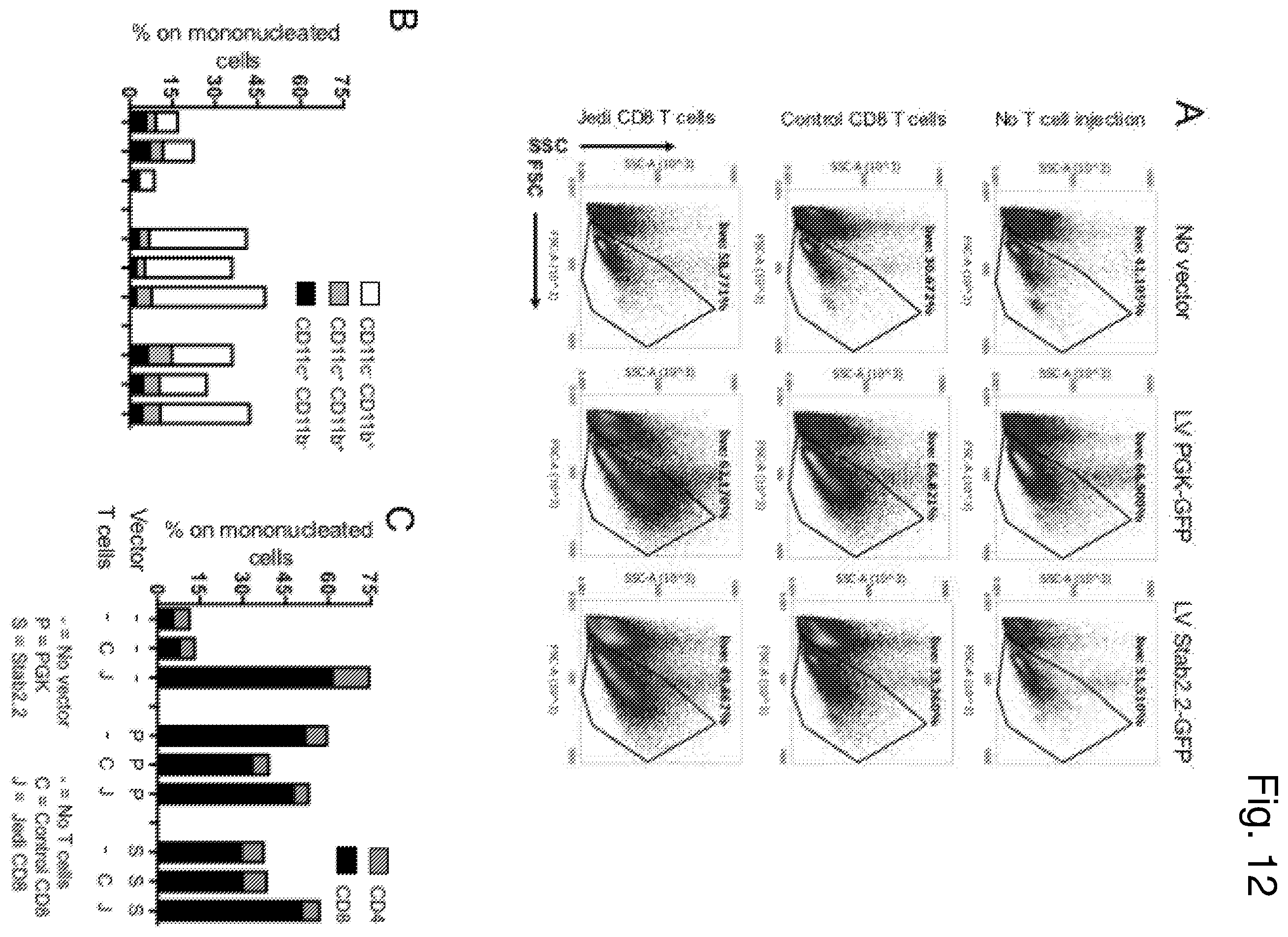 Patent US12460225 Figure 12 – Vector with an endothelial-specific promoter for treating factor V, VII, VIII, or IX deficiency