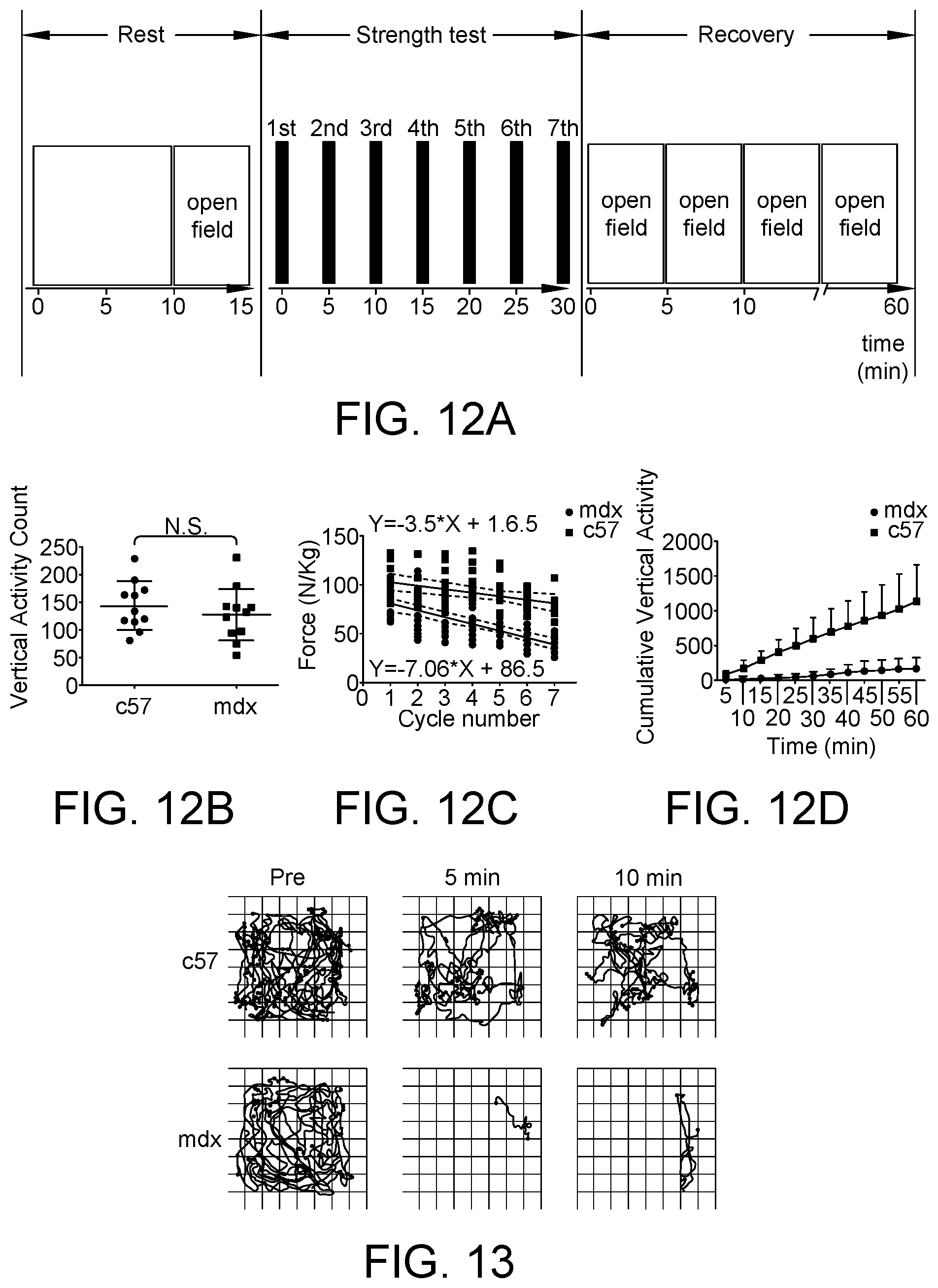 Patent US12460226 Figure 19 – Compositions and methods for treating duchenne muscular dystrophy