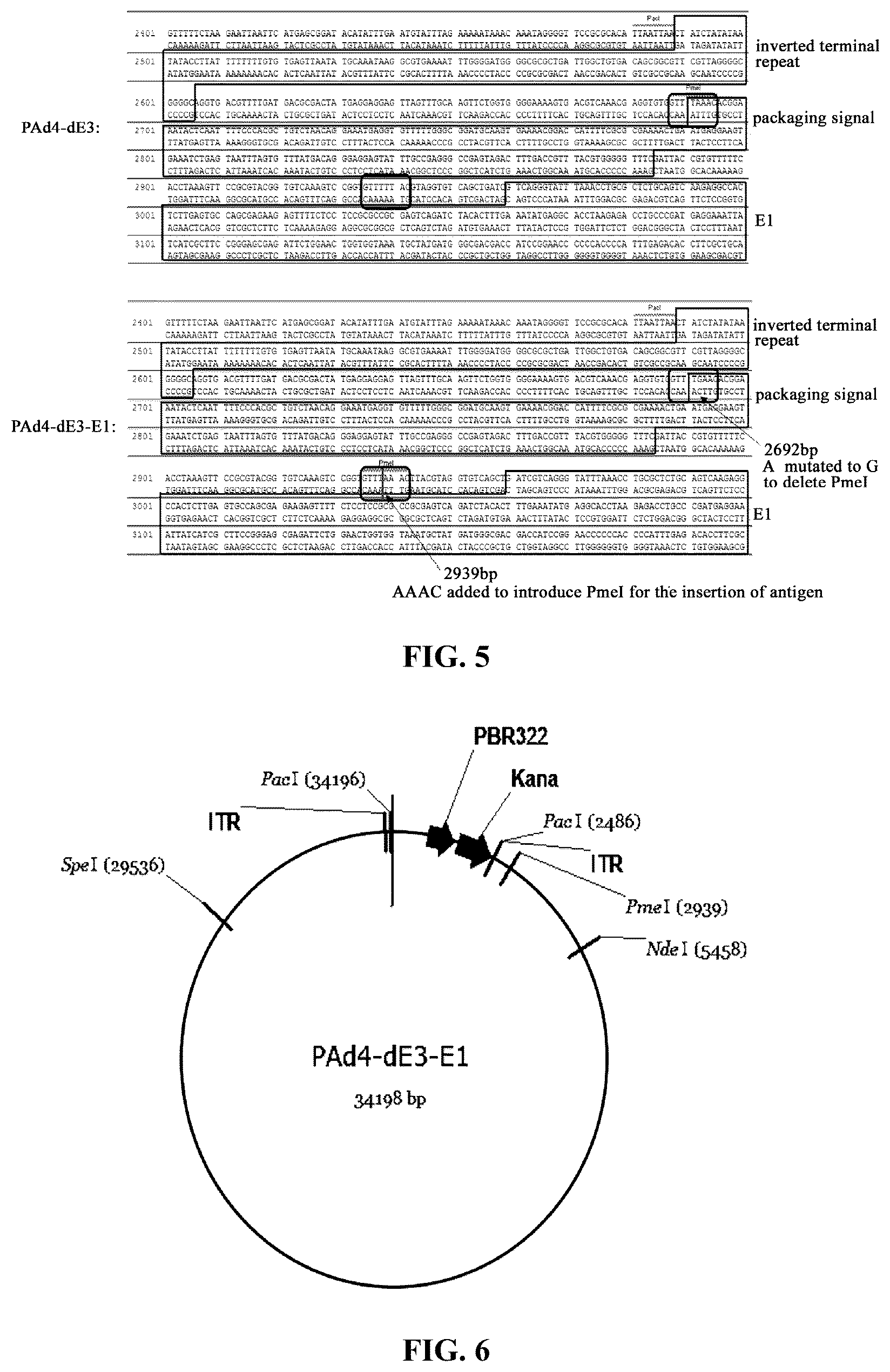 Patent US12460227 Figure 3 – Single plasmid vector system for packaging recombinant human adenovirus type 4 and application thereof