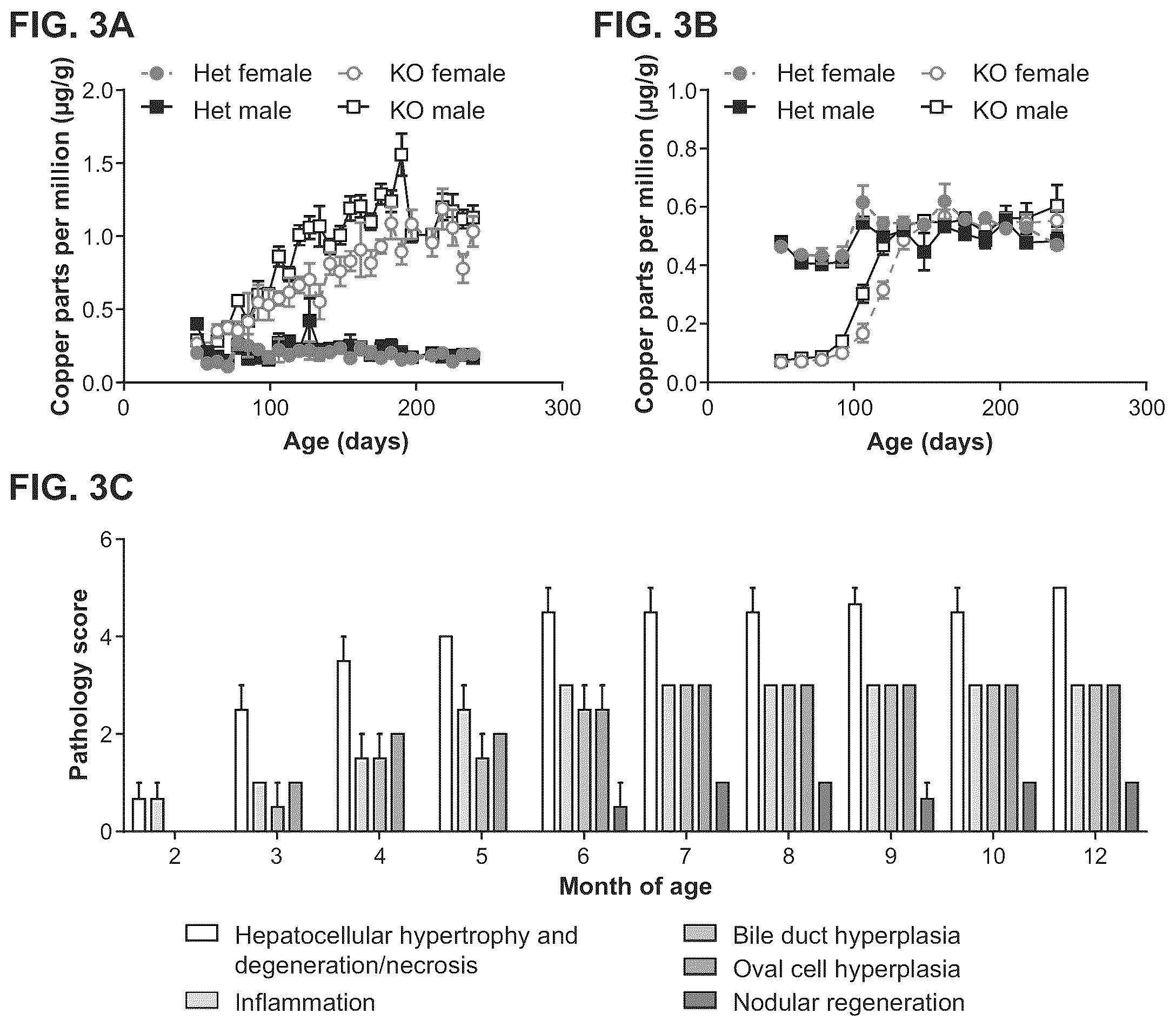 Patent US12460228 Figure 3 – Gene therapy for treating Wilson's disease