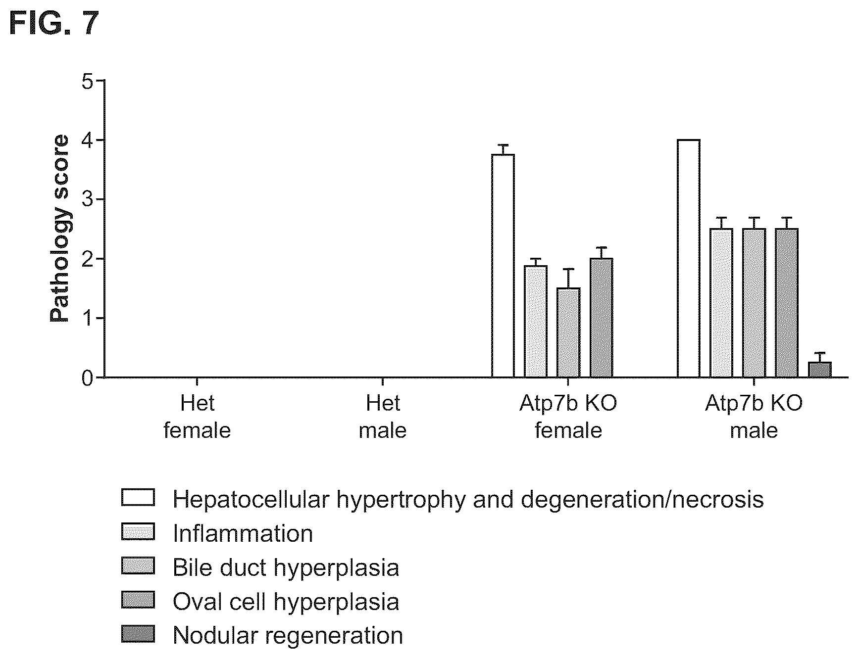 Patent US12460228 Figure 7 – Gene therapy for treating Wilson's disease