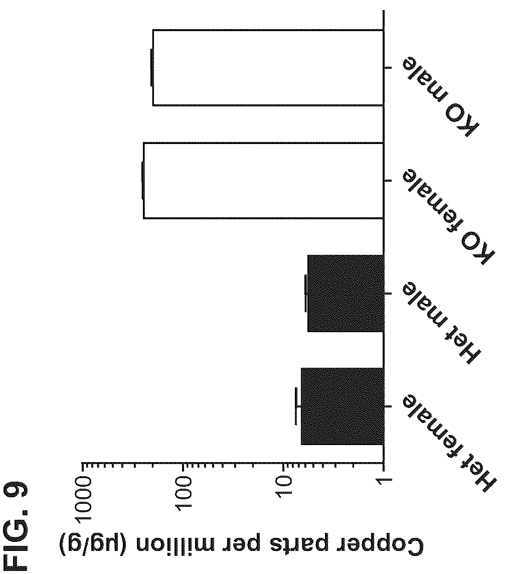 Patent US12460228 Figure 9 – Gene therapy for treating Wilson's disease