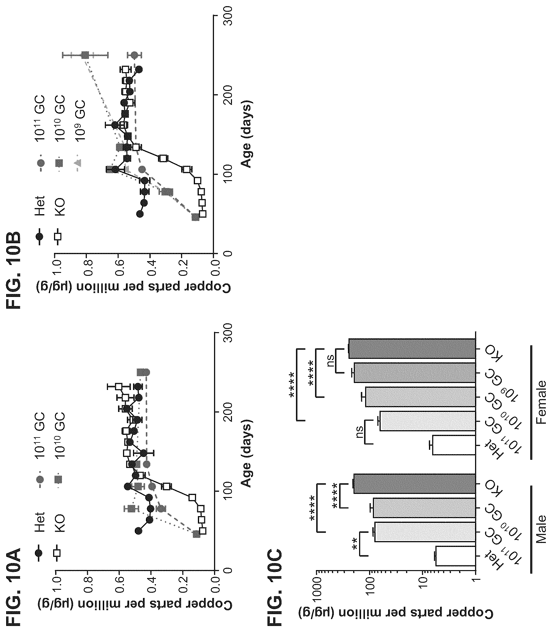 Patent US12460228 Figure 10 – Gene therapy for treating Wilson's disease