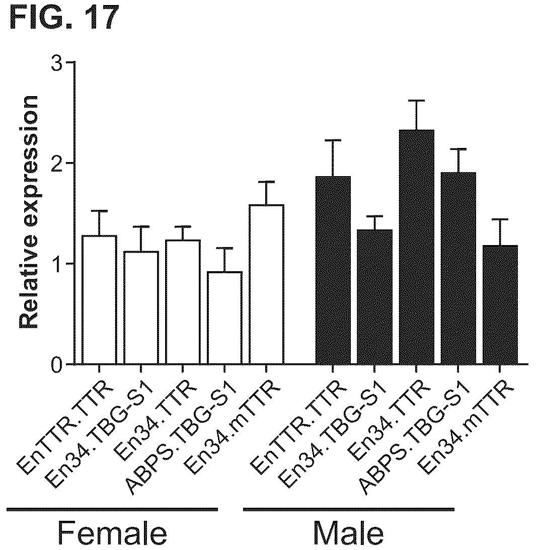 Patent US12460228 Figure 17 – Gene therapy for treating Wilson's disease