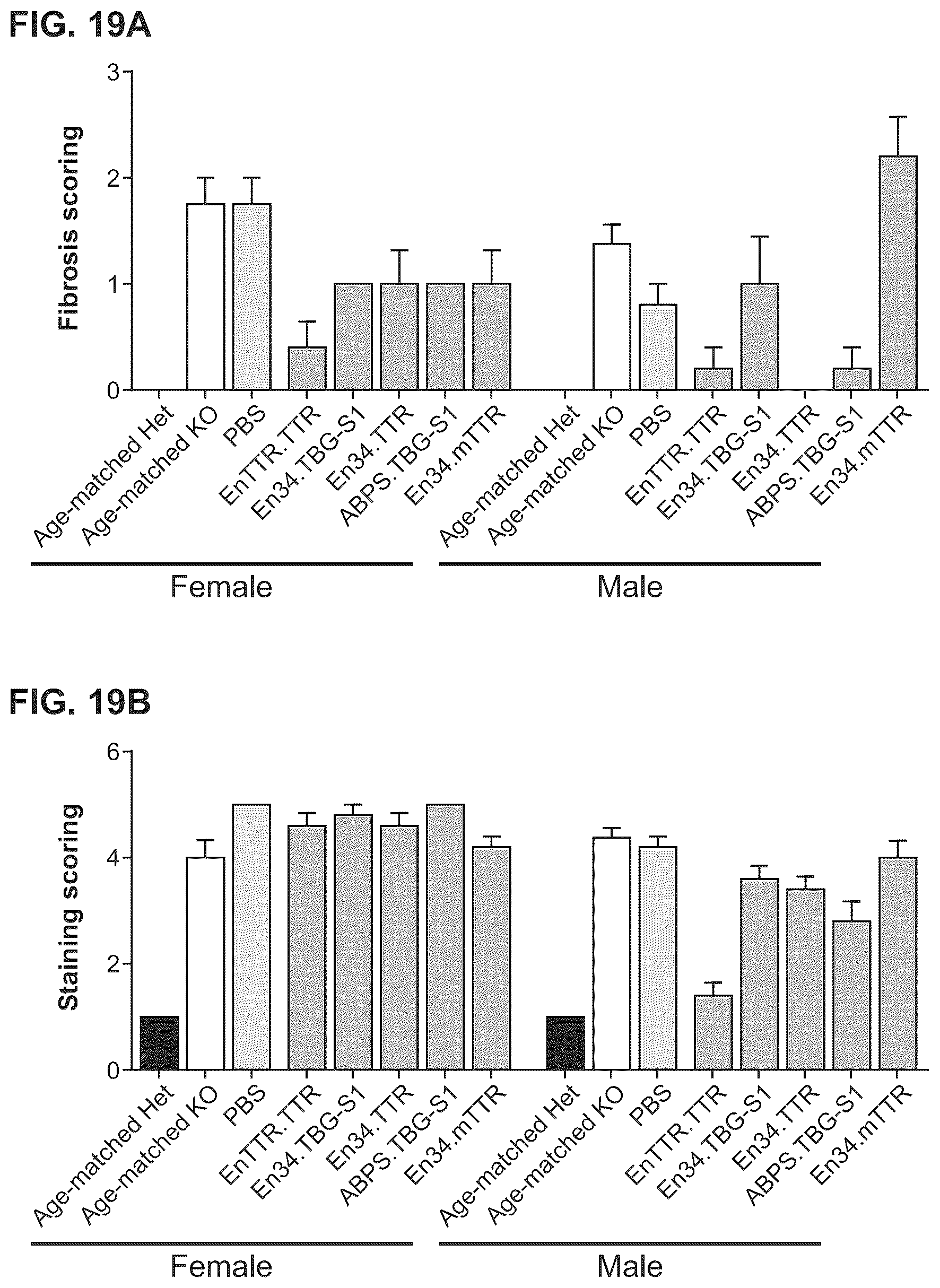 Patent US12460228 Figure 19 – Gene therapy for treating Wilson's disease