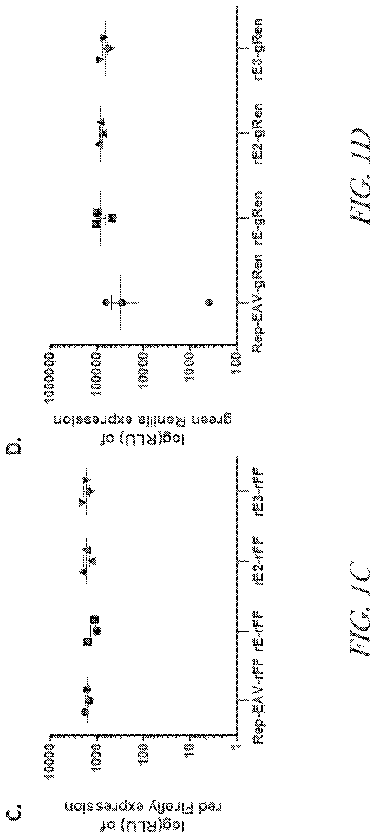 Patent US12460229 Figure 2 – Recombinant arterivirus replicon systems and uses thereof
