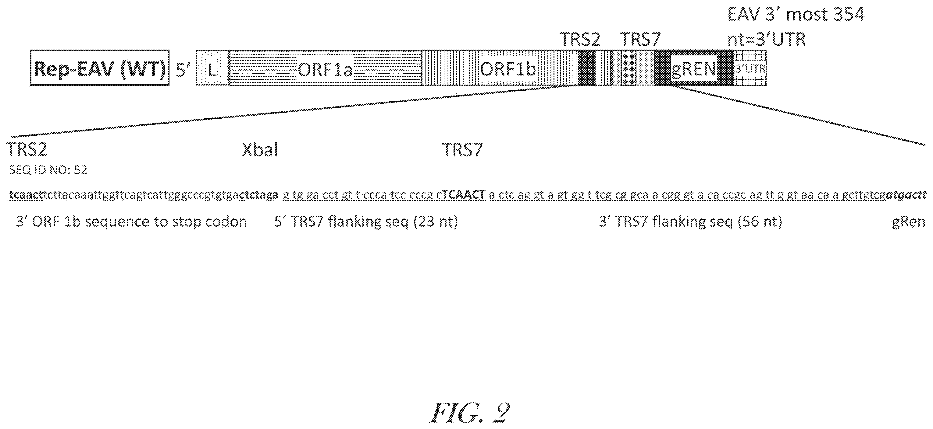 Patent US12460229 Figure 3 – Recombinant arterivirus replicon systems and uses thereof