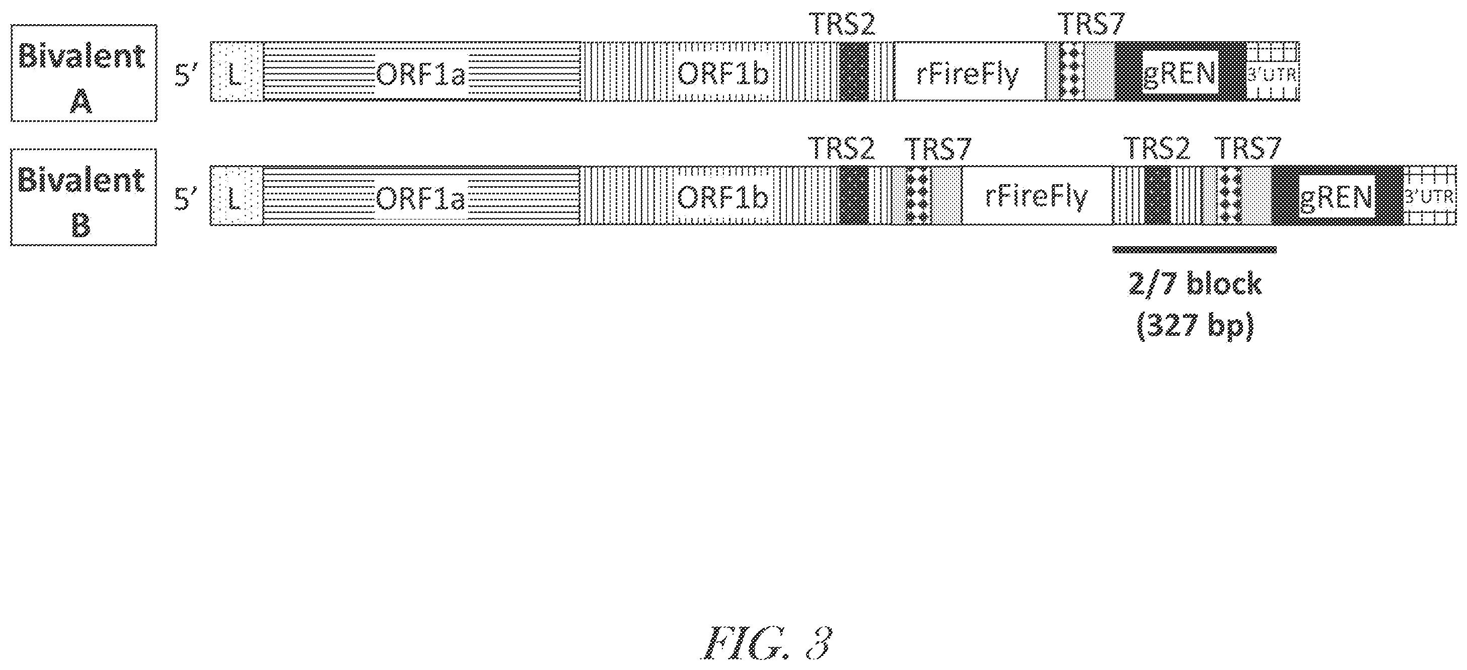 Patent US12460229 Figure 4 – Recombinant arterivirus replicon systems and uses thereof