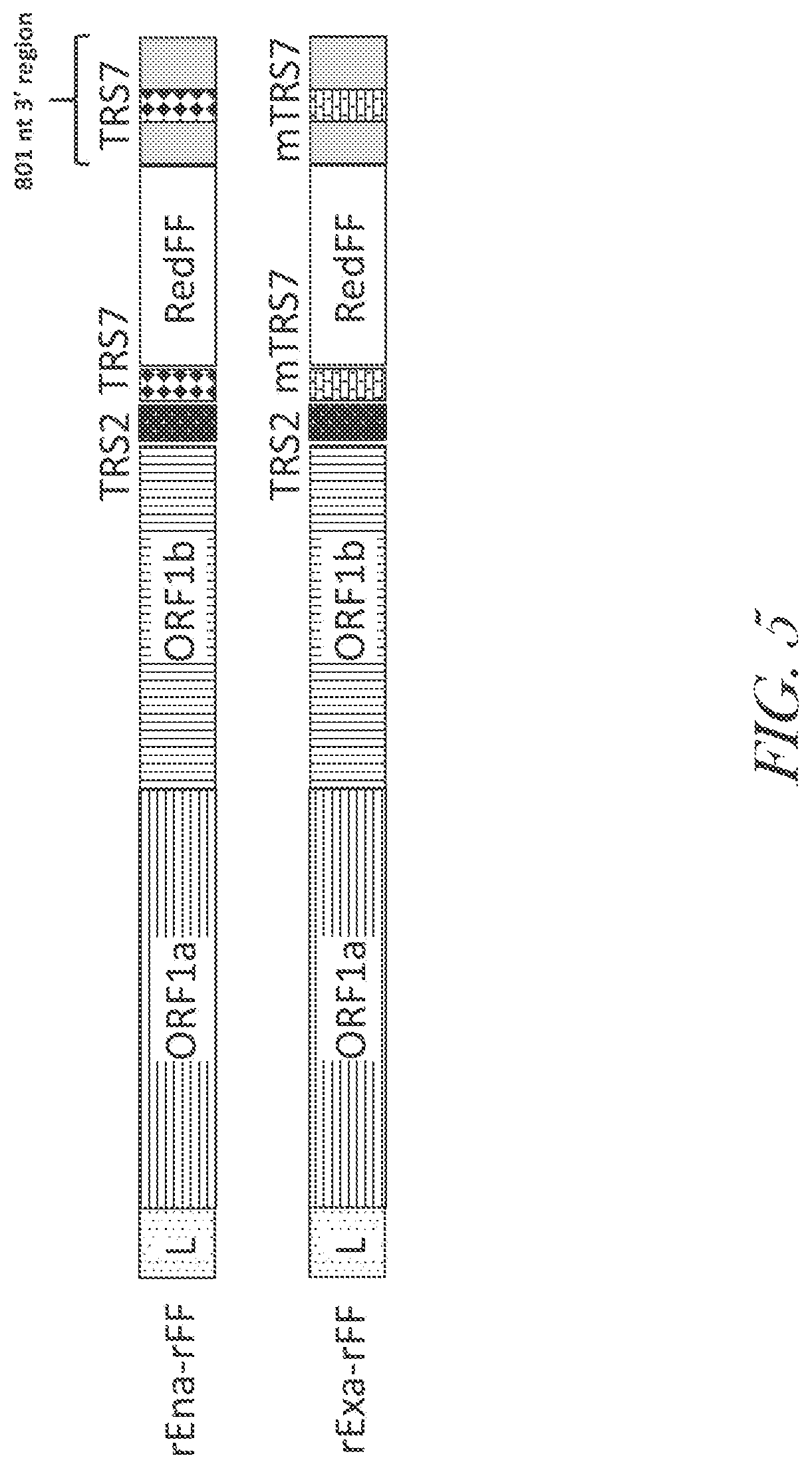 Patent US12460229 Figure 7 – Recombinant arterivirus replicon systems and uses thereof