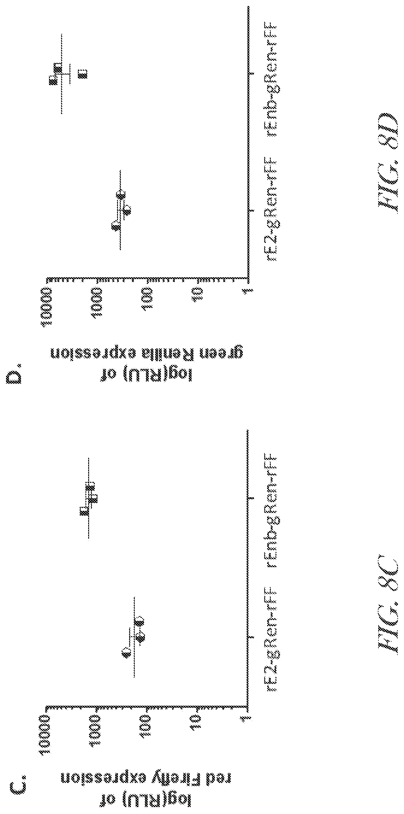 Patent US12460229 Figure 11 – Recombinant arterivirus replicon systems and uses thereof