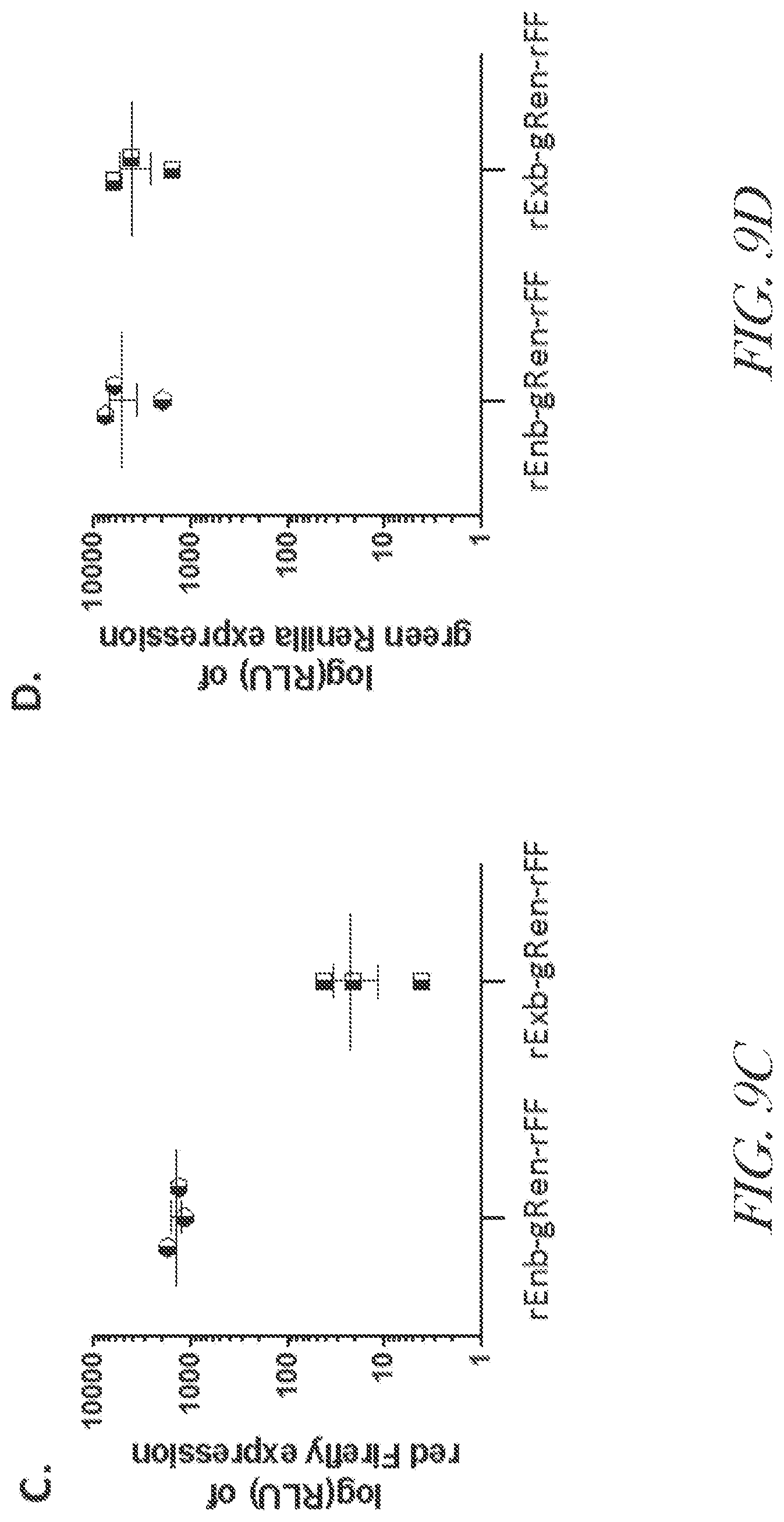 Patent US12460229 Figure 13 – Recombinant arterivirus replicon systems and uses thereof