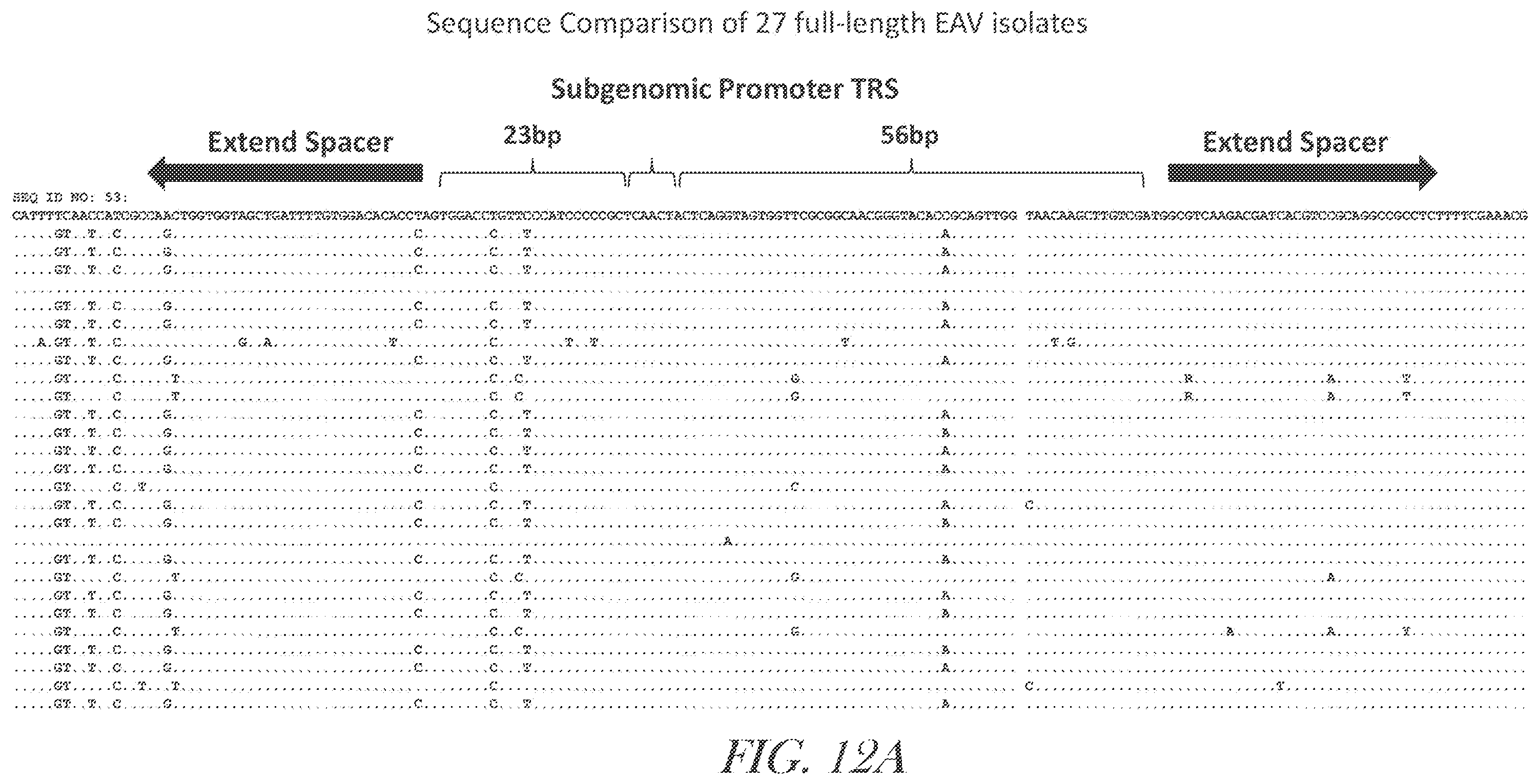 Patent US12460229 Figure 18 – Recombinant arterivirus replicon systems and uses thereof