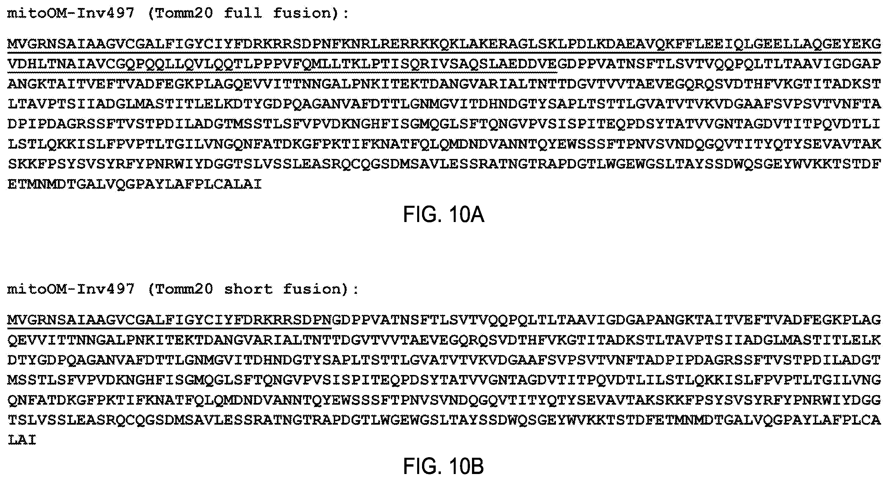 Patent US12460230 Figure 10 – Modified mitochondrion and methods of use thereof