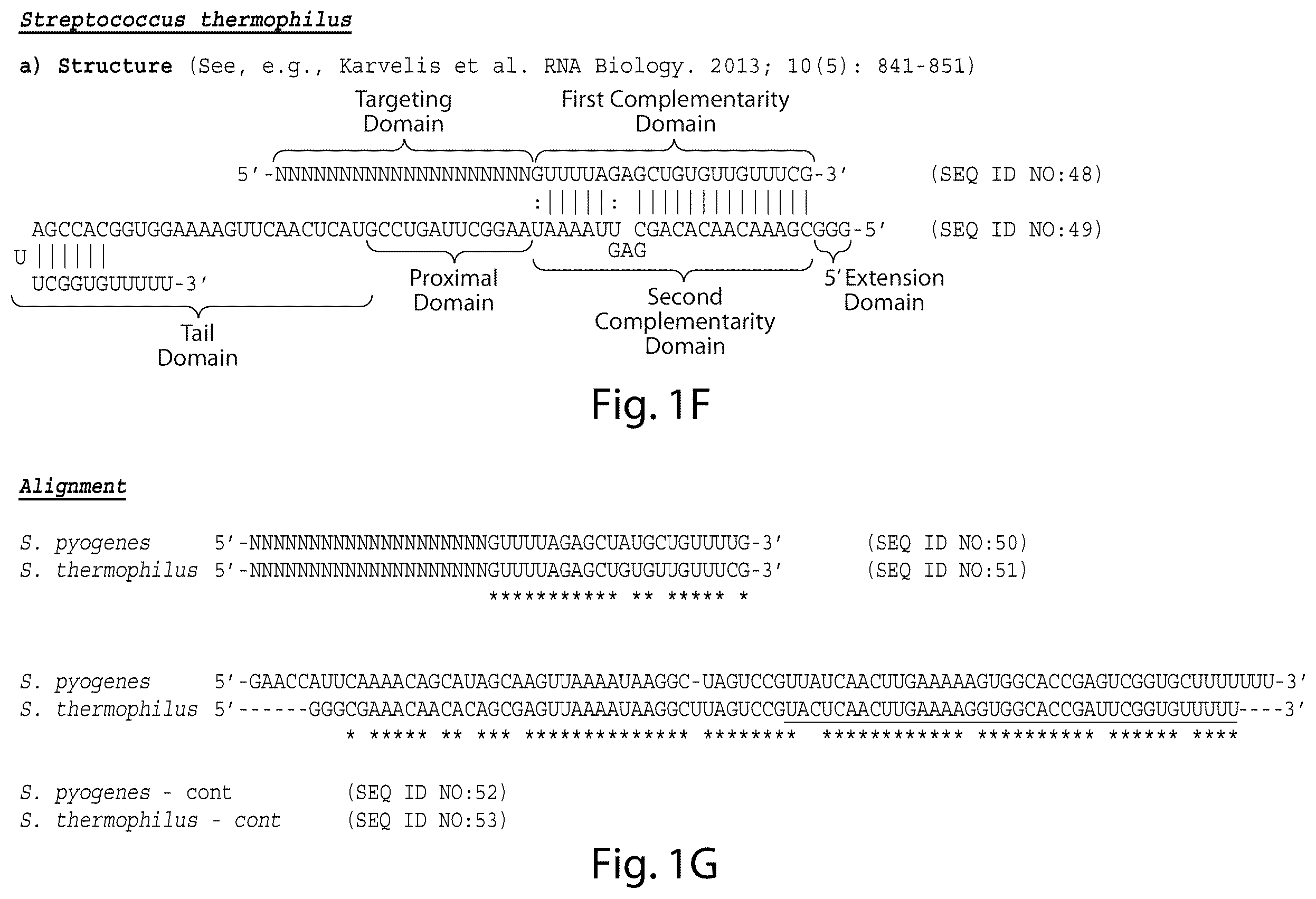 Patent US12460231 Figure 6 – Crispr/CAS-related methods and compositions for treating primary open angle glaucoma