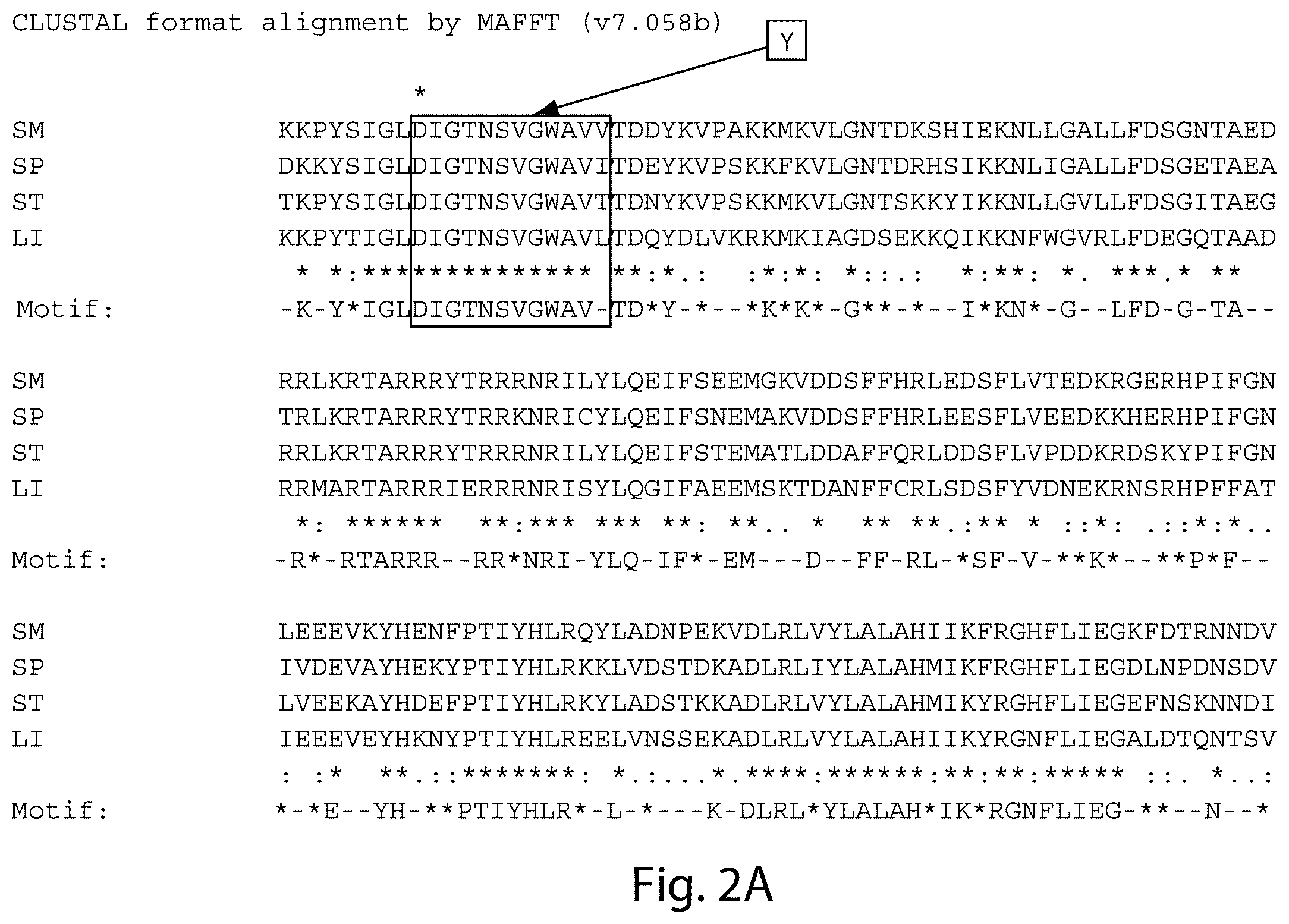 Patent US12460231 Figure 8 – Crispr/CAS-related methods and compositions for treating primary open angle glaucoma