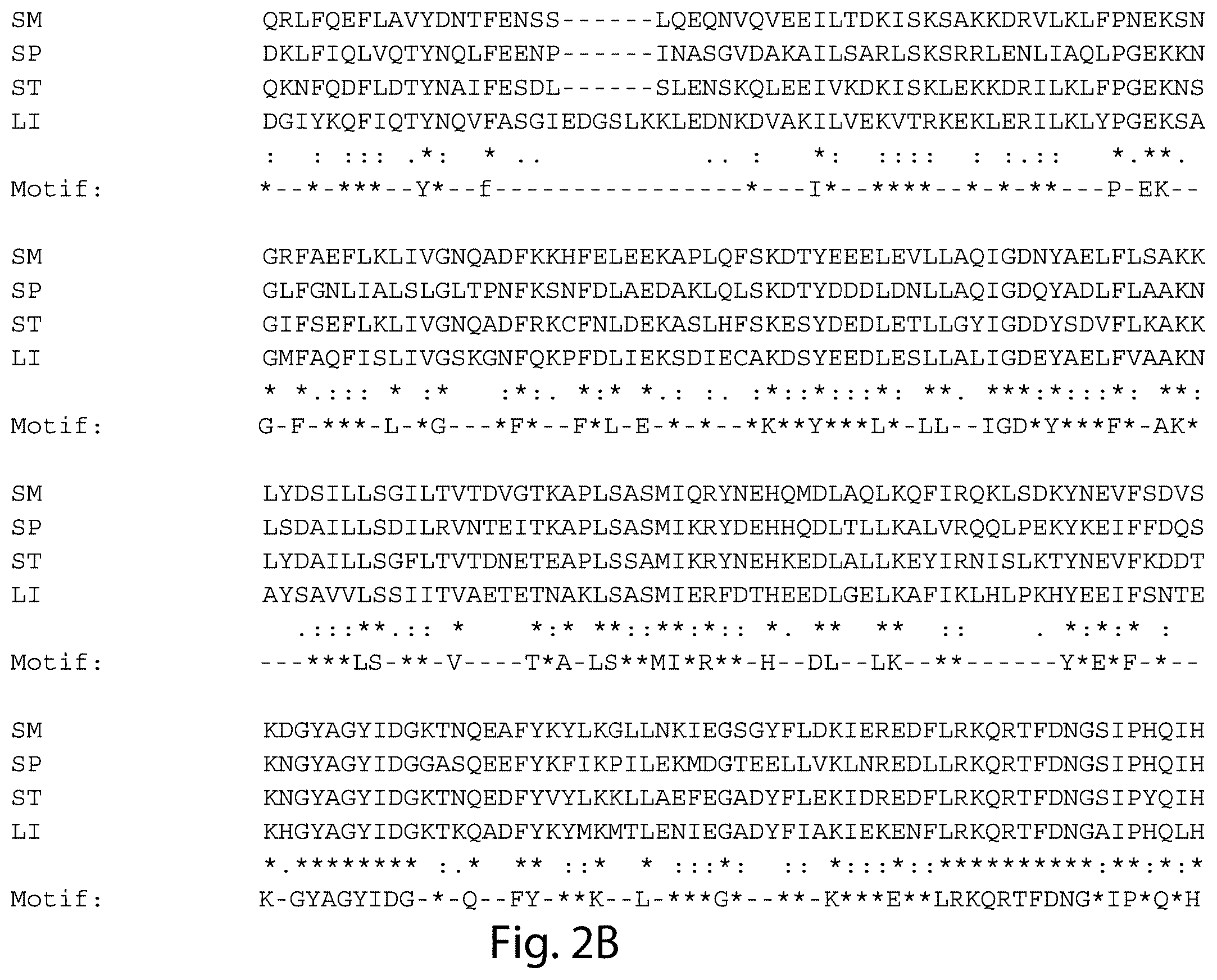 Patent US12460231 Figure 9 – Crispr/CAS-related methods and compositions for treating primary open angle glaucoma