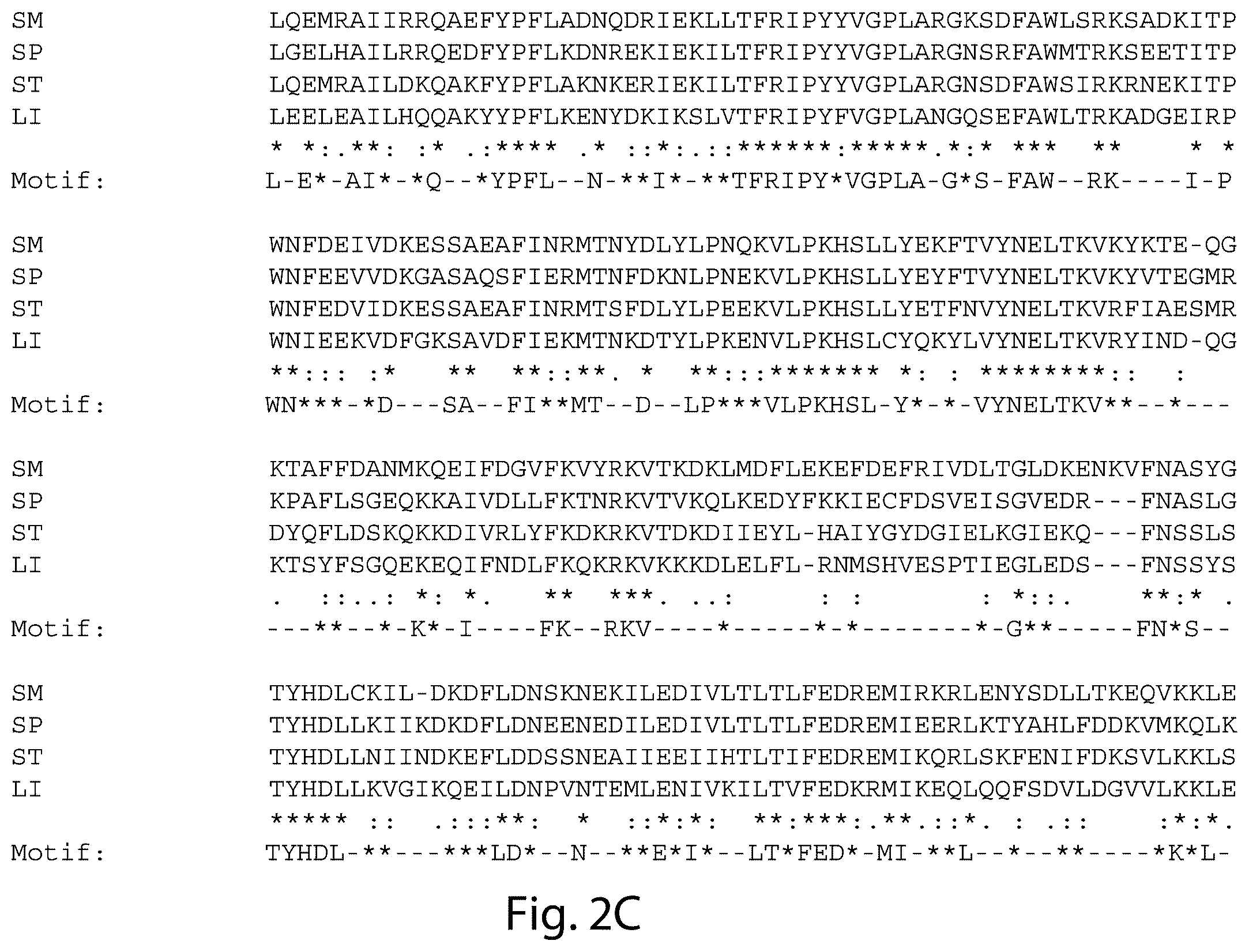 Patent US12460231 Figure 10 – Crispr/CAS-related methods and compositions for treating primary open angle glaucoma