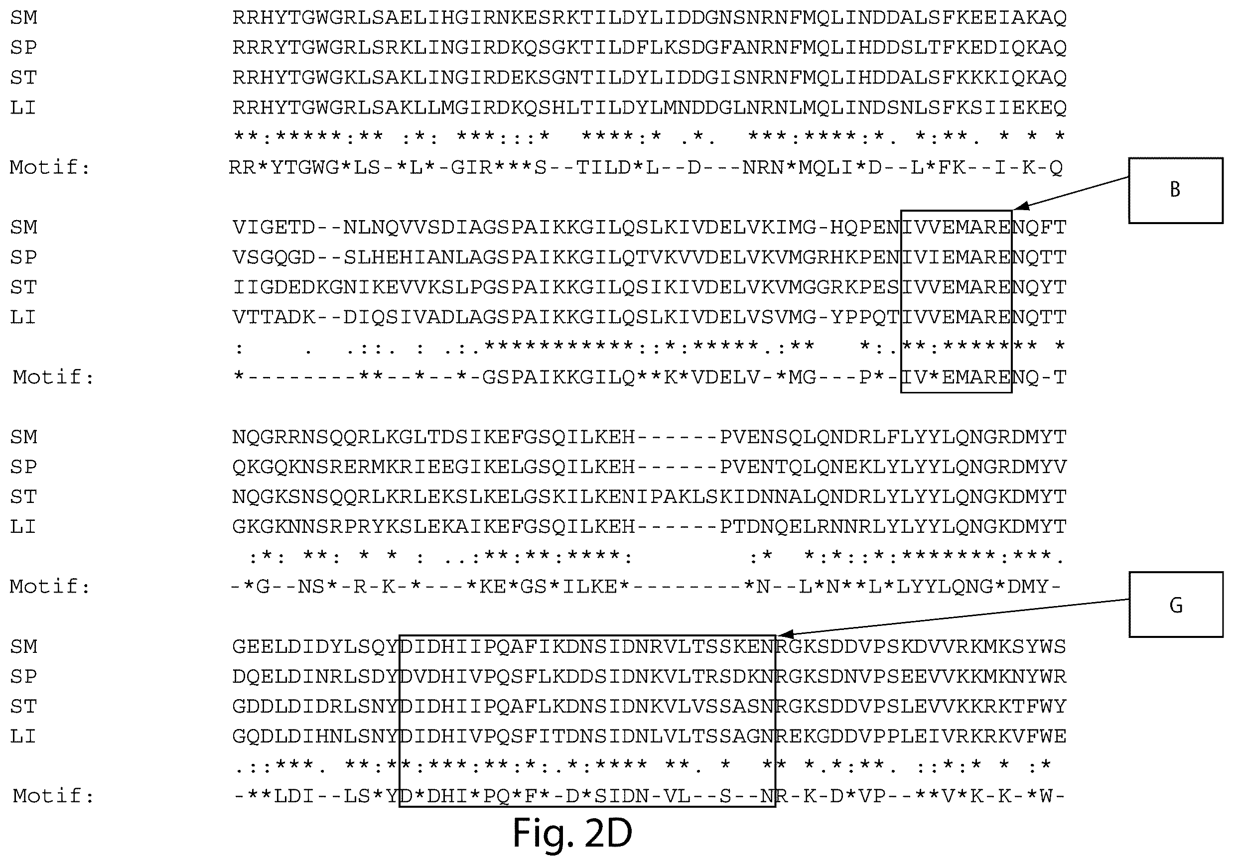 Patent US12460231 Figure 11 – Crispr/CAS-related methods and compositions for treating primary open angle glaucoma