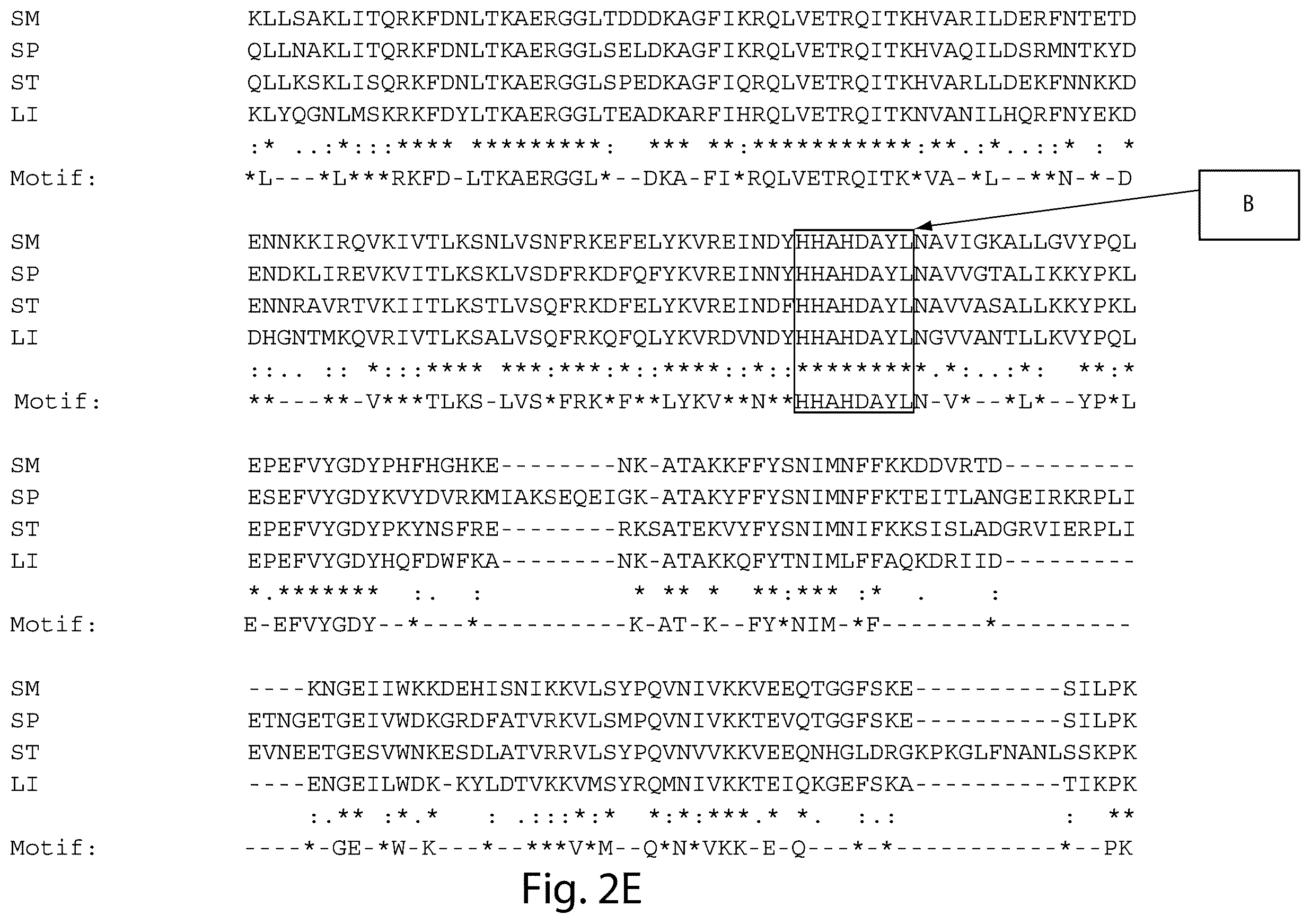Patent US12460231 Figure 12 – Crispr/CAS-related methods and compositions for treating primary open angle glaucoma
