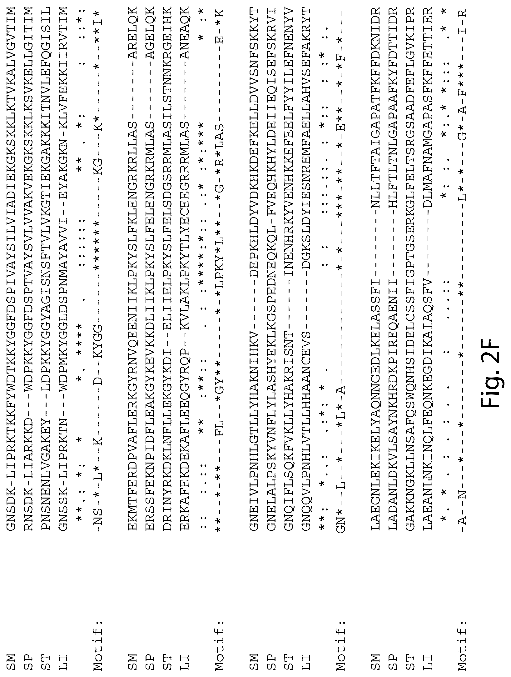 Patent US12460231 Figure 13 – Crispr/CAS-related methods and compositions for treating primary open angle glaucoma