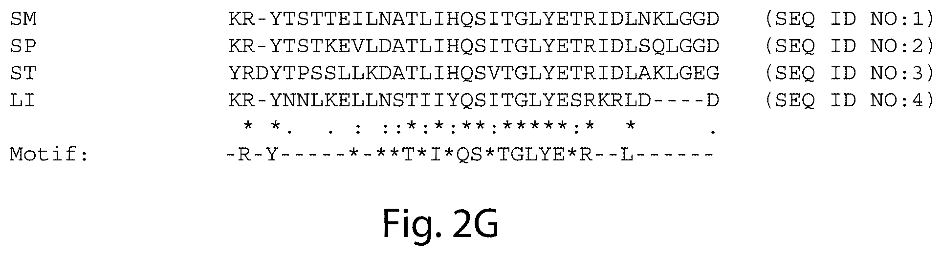Patent US12460231 Figure 14 – Crispr/CAS-related methods and compositions for treating primary open angle glaucoma