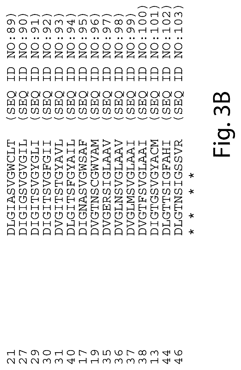 Patent US12460231 Figure 16 – Crispr/CAS-related methods and compositions for treating primary open angle glaucoma