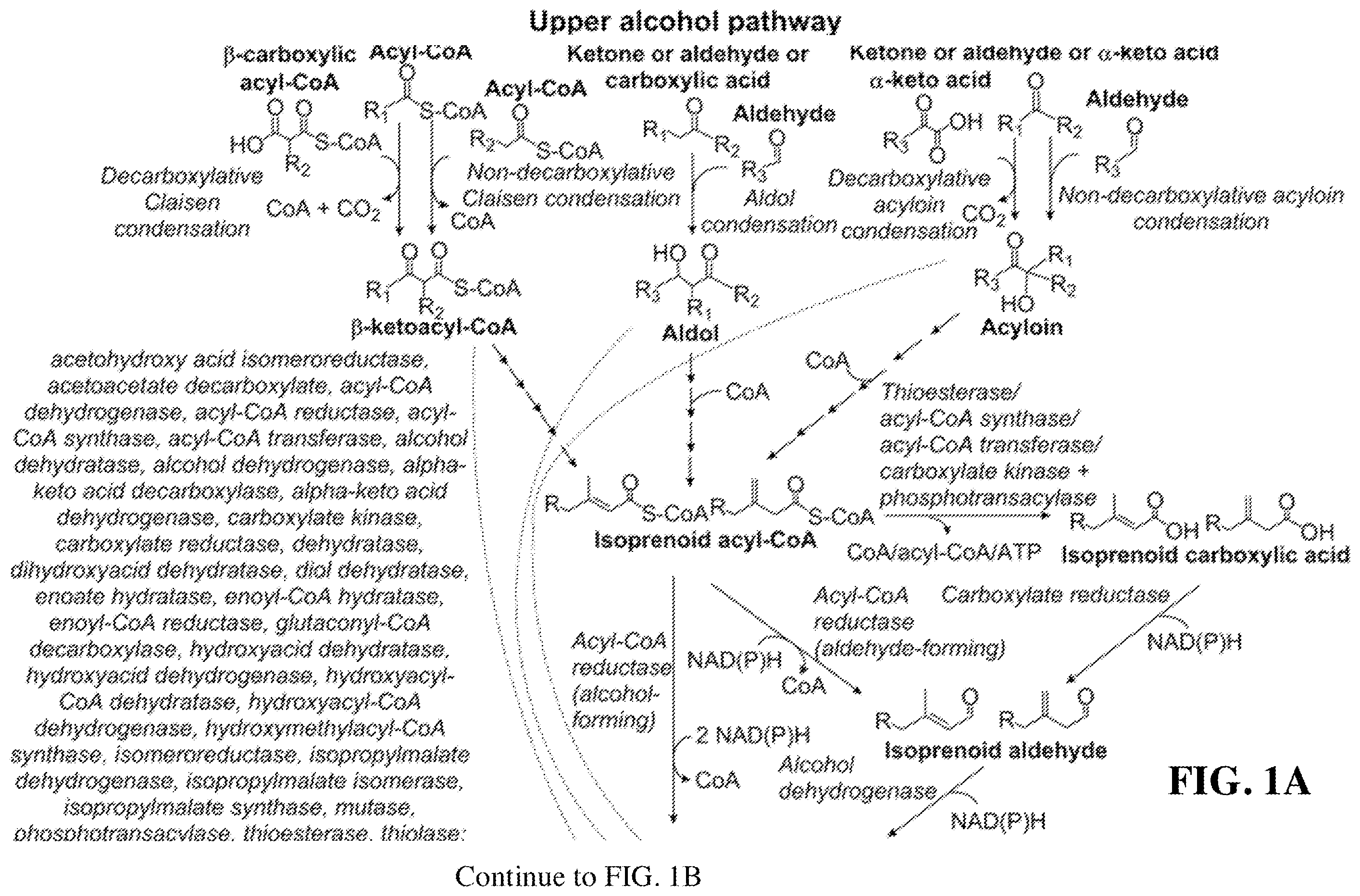 Patent US12460234 Figure 1 – Synthesis of isoprenoids and derivatives