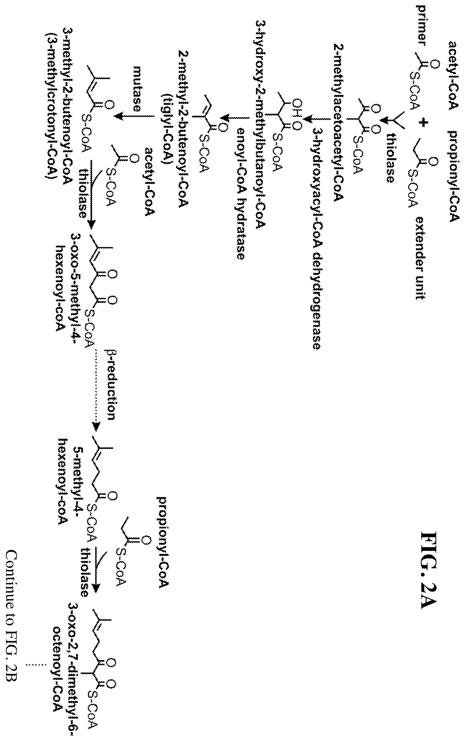 Patent US12460234 Figure 3 – Synthesis of isoprenoids and derivatives