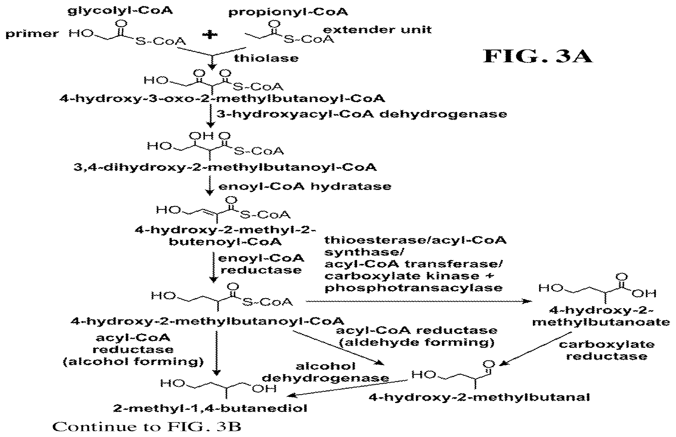 Patent US12460234 Figure 5 – Synthesis of isoprenoids and derivatives